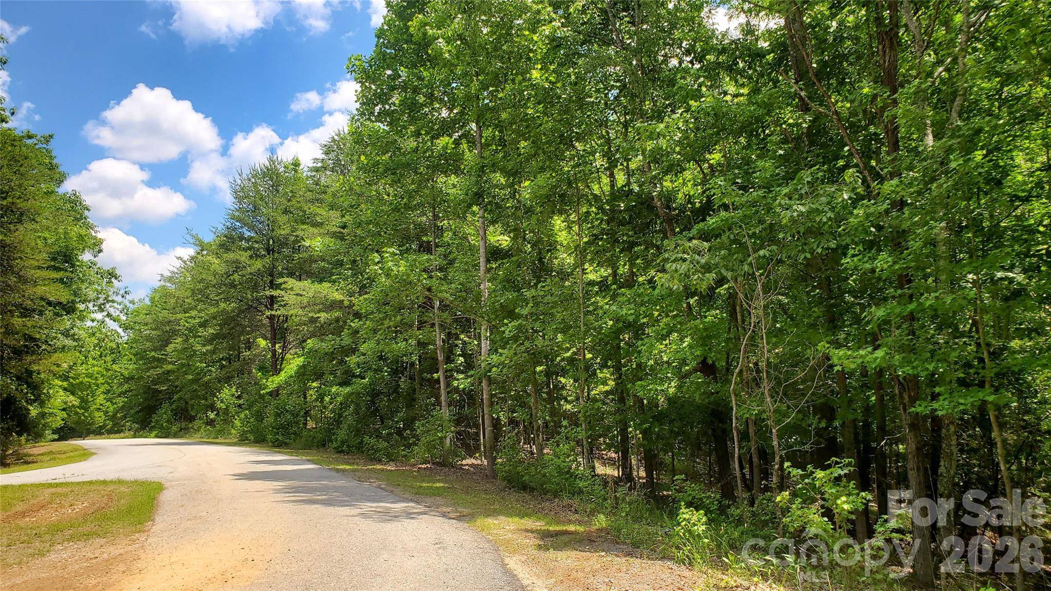 755 Hamilton DR, Columbus, NC 28722
