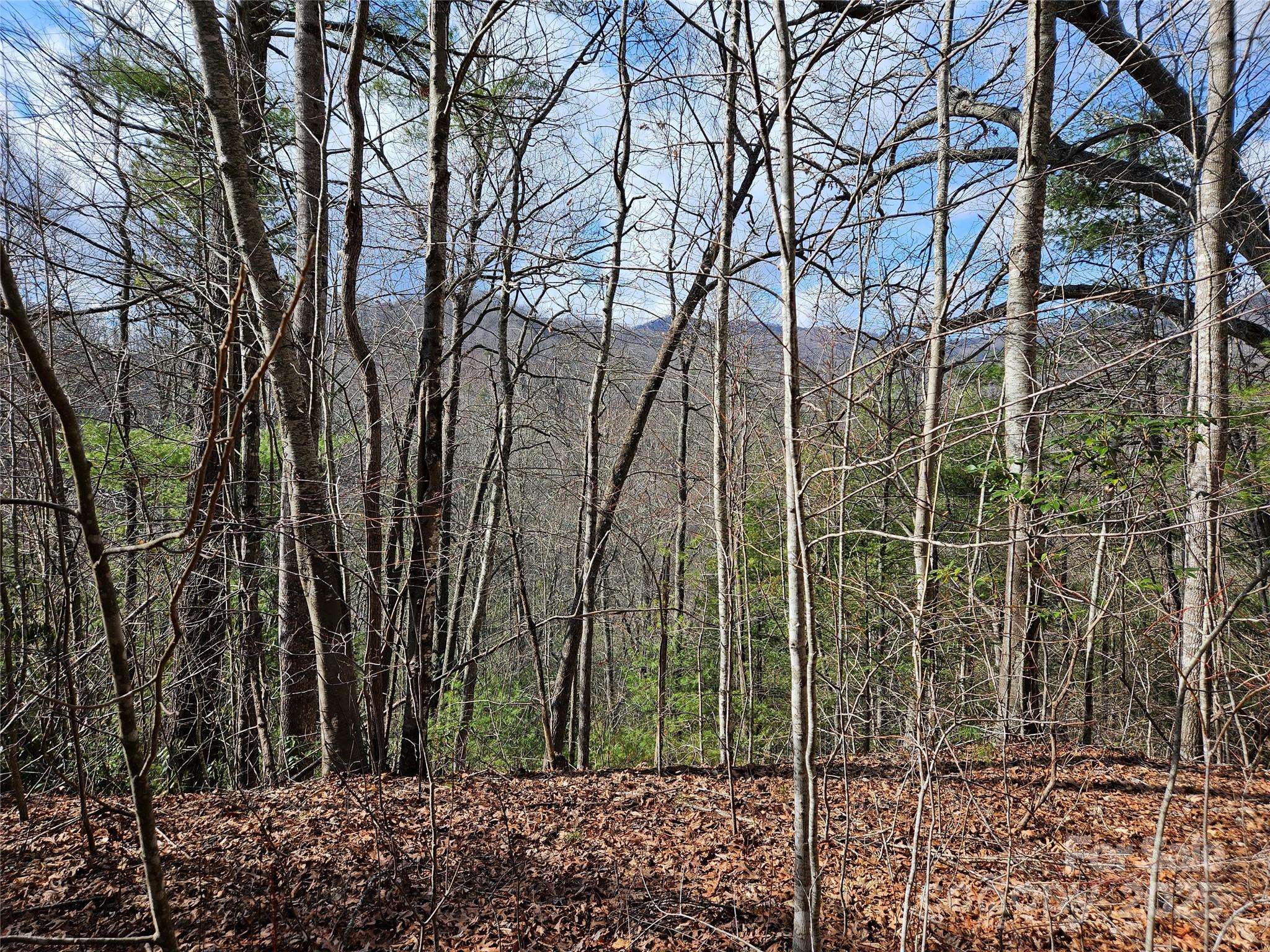 00 Wispy Willow DR #24T, Waynesville, NC 28785