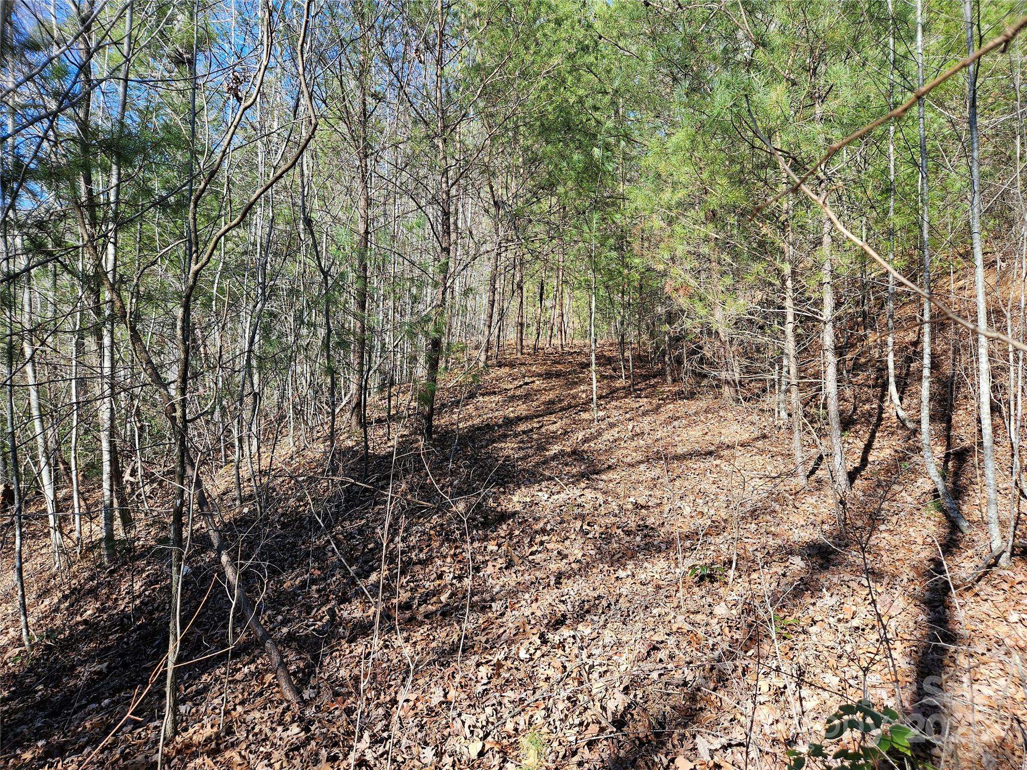 00 Wispy Willow DR #24T, Waynesville, NC 28785