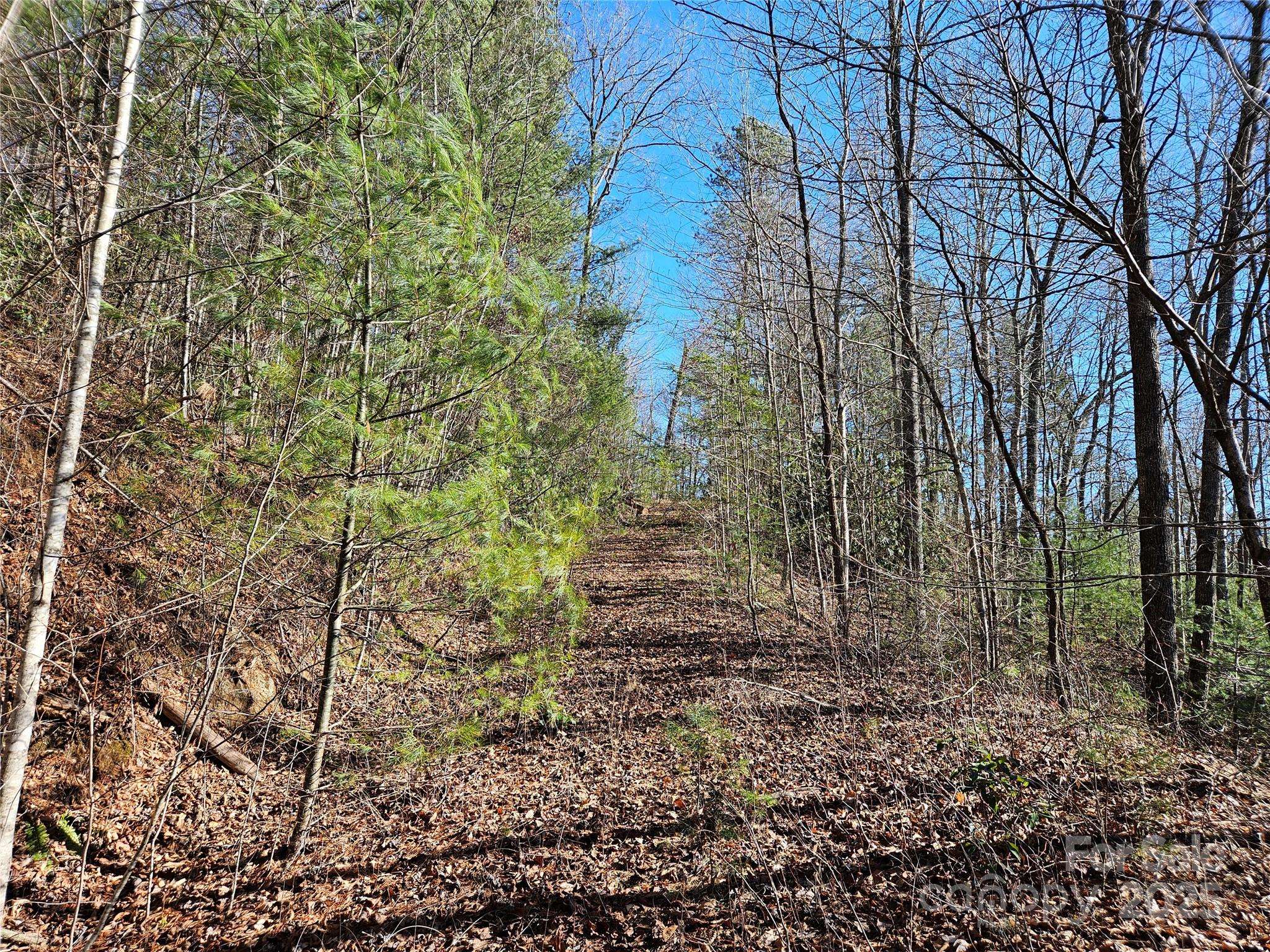 00 Wispy Willow DR #24T, Waynesville, NC 28785