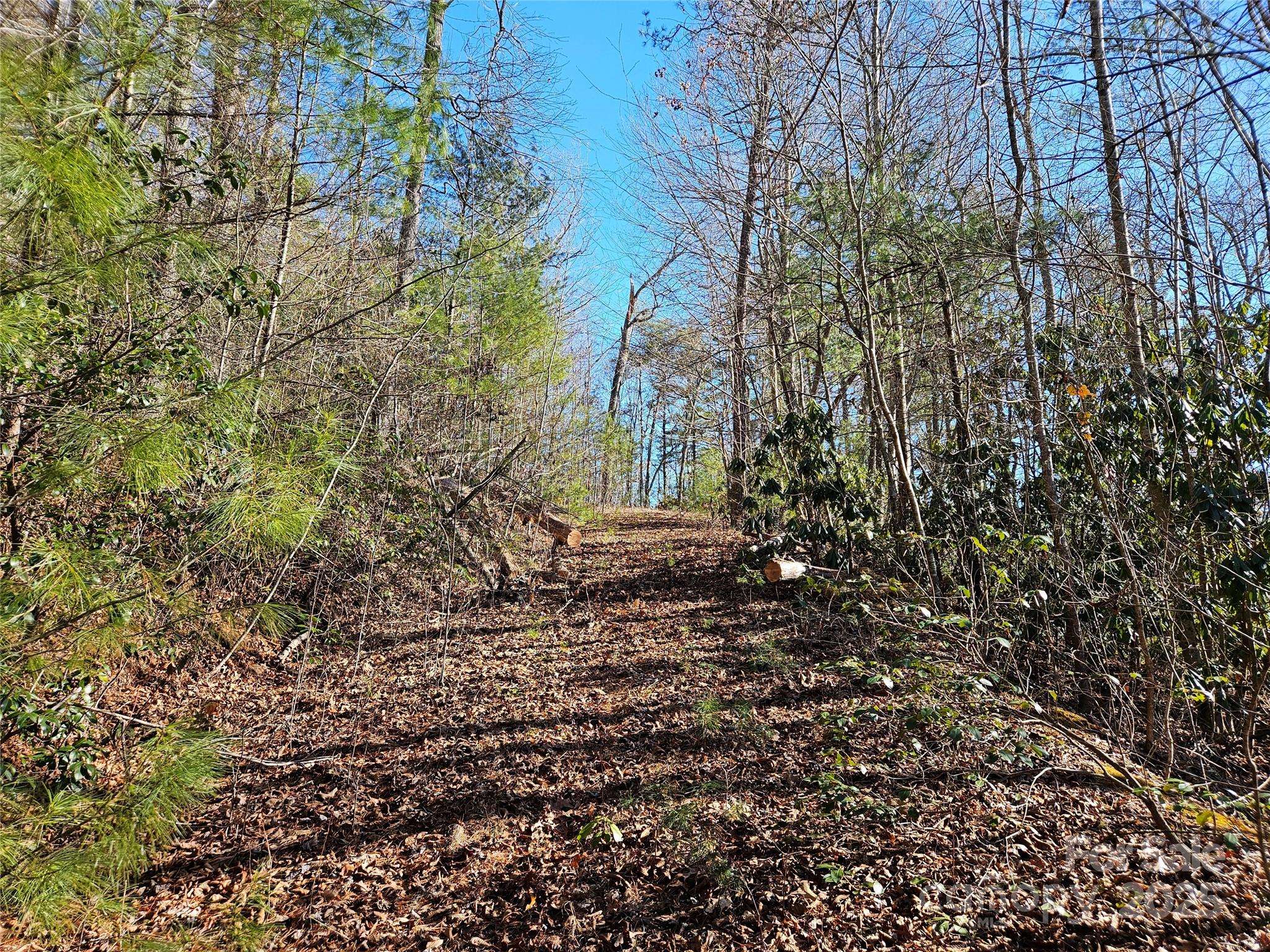 00 Wispy Willow DR #24T, Waynesville, NC 28785
