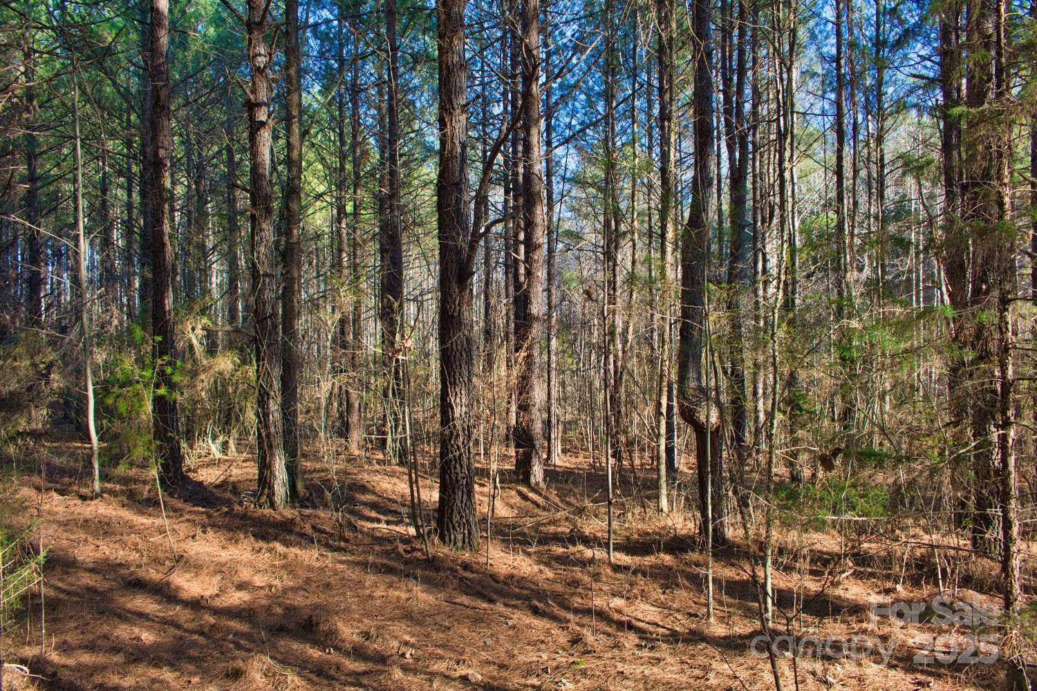 0 Clearwater Pkwy #209, Rutherfordton, NC 28139