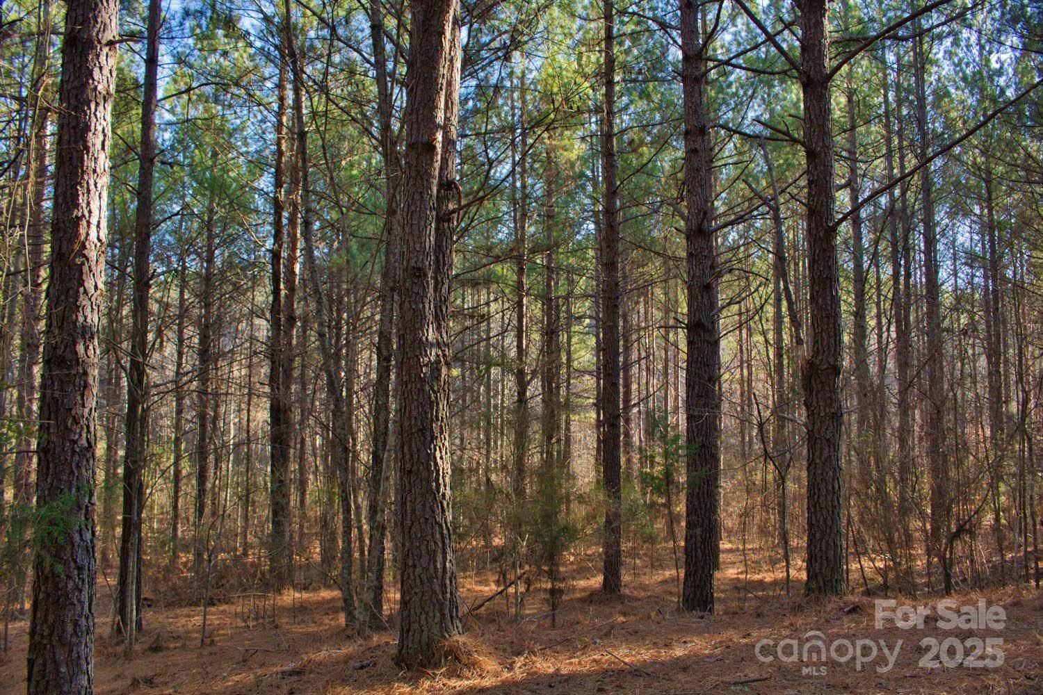 0 Clearwater Pkwy #209, Rutherfordton, NC 28139
