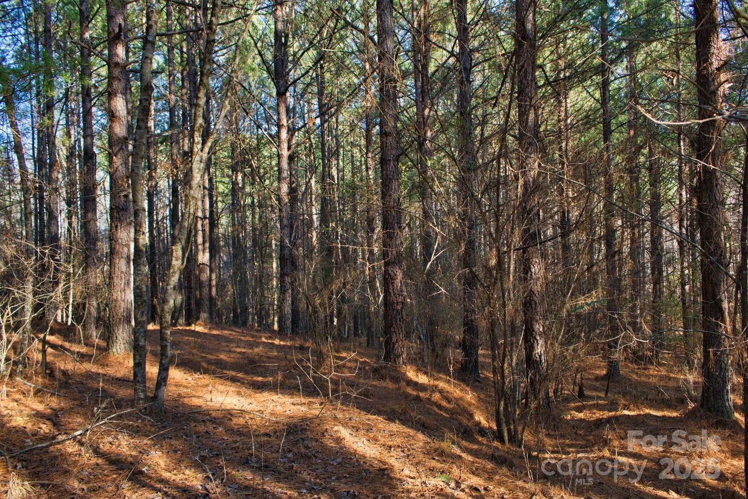 0 Clearwater Pkwy #209, Rutherfordton, NC 28139