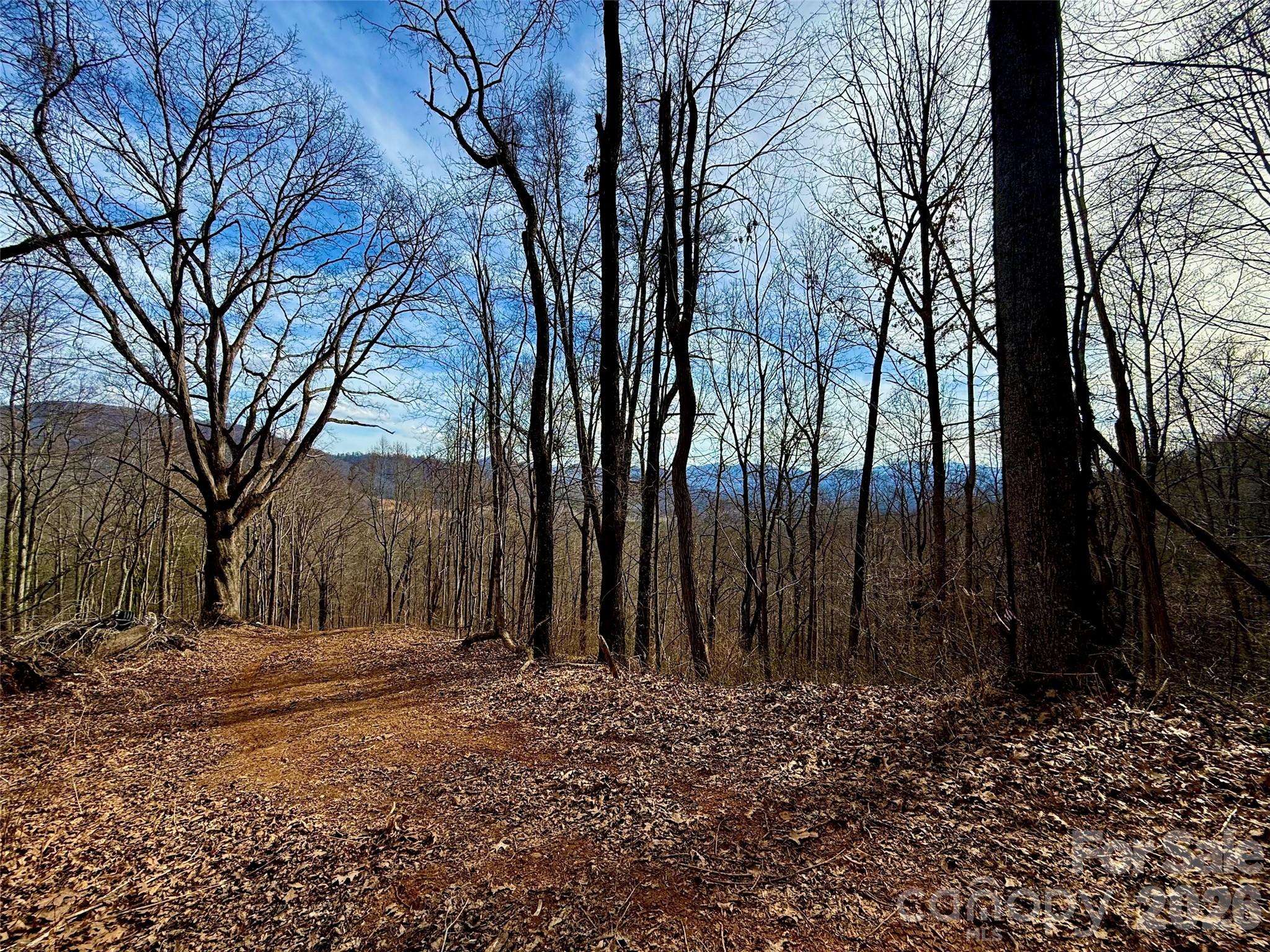 672 Porters RDG, Canton, NC 28716
