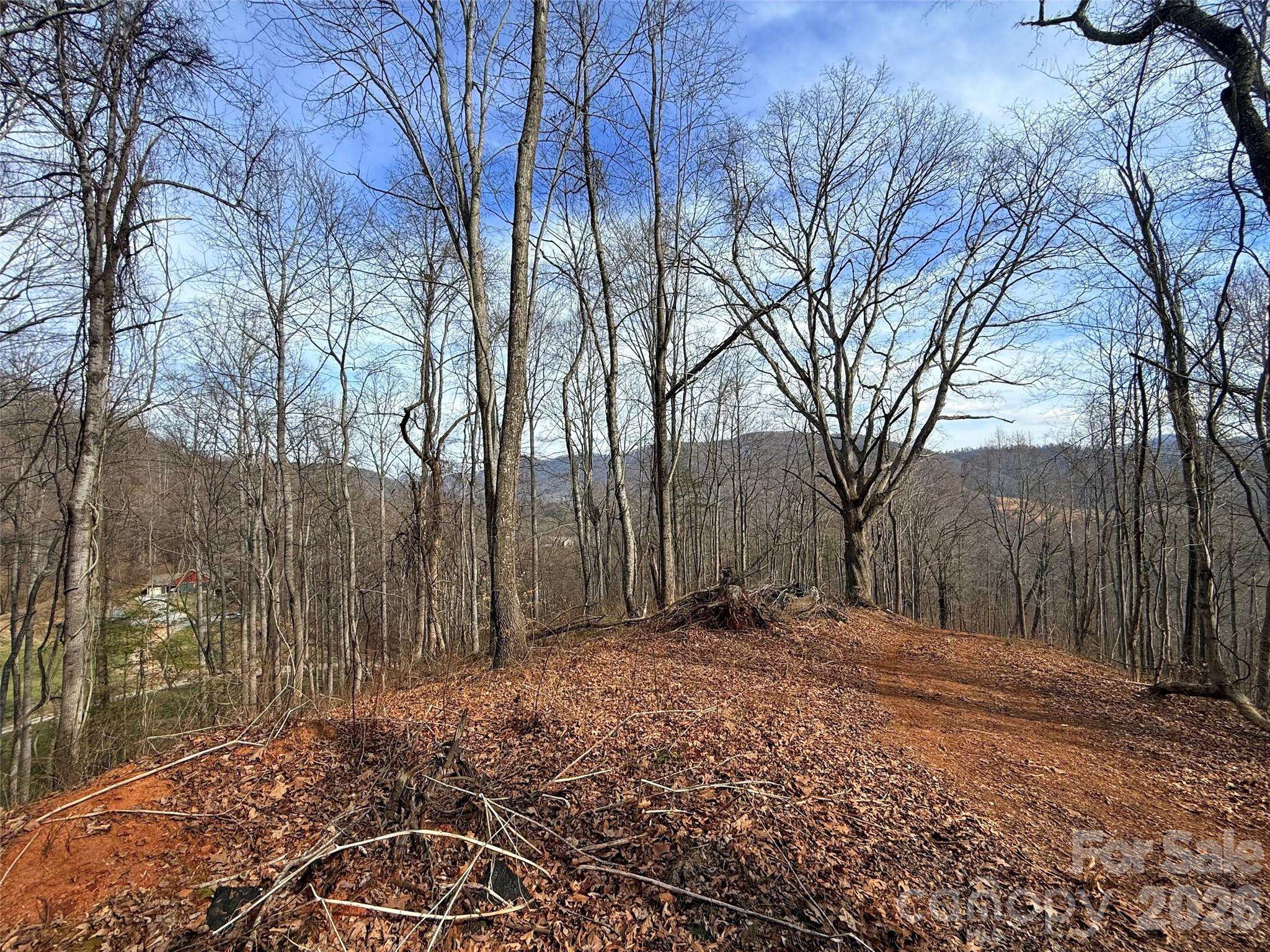 672 Porters RDG, Canton, NC 28716