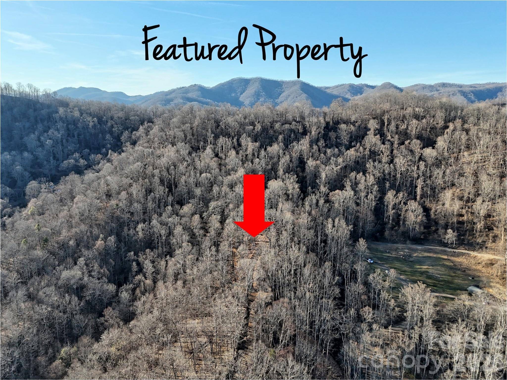 672 Porters RDG, Canton, NC 28716