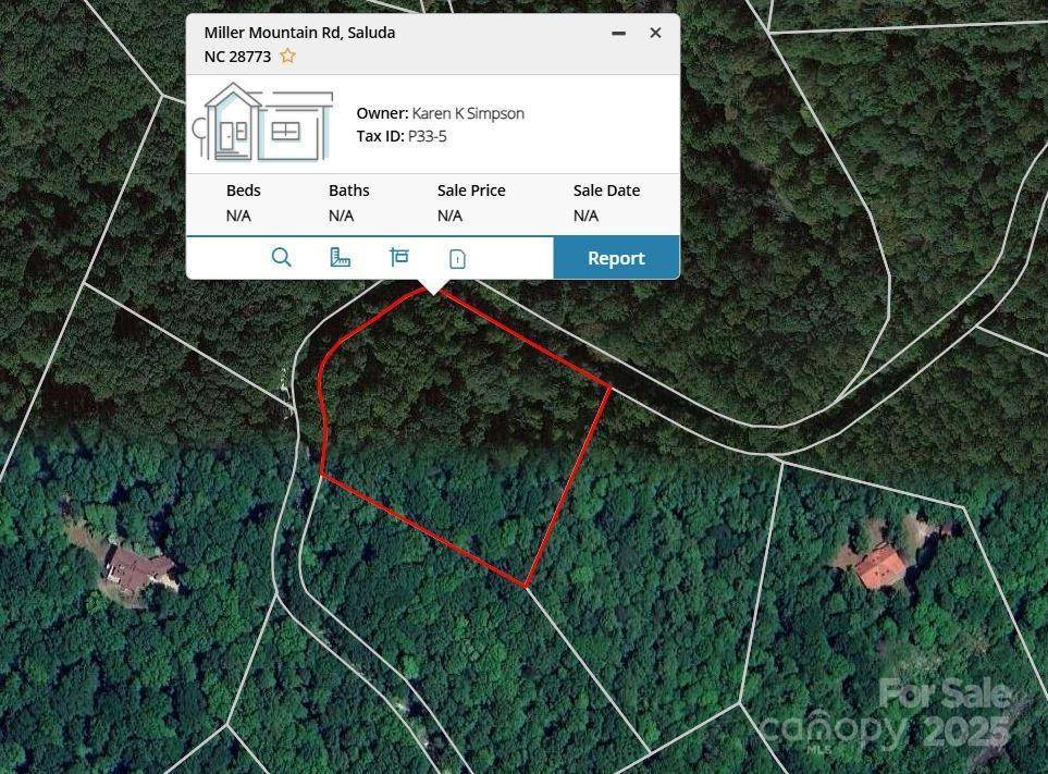0000 TBD Miller Mountain RD, Saluda, NC 28773