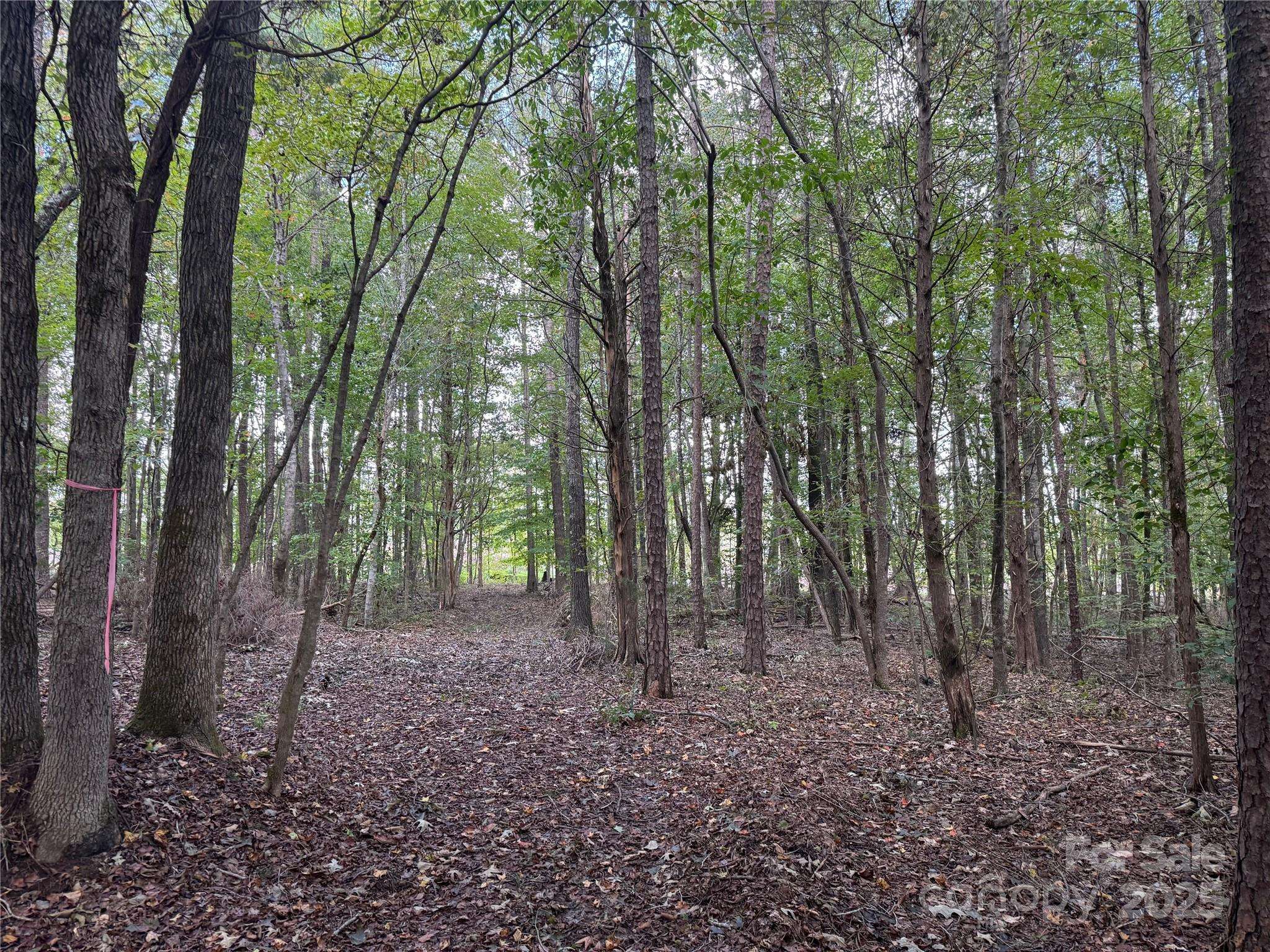 0 Huey RD #10,11, Waxhaw, NC 28173