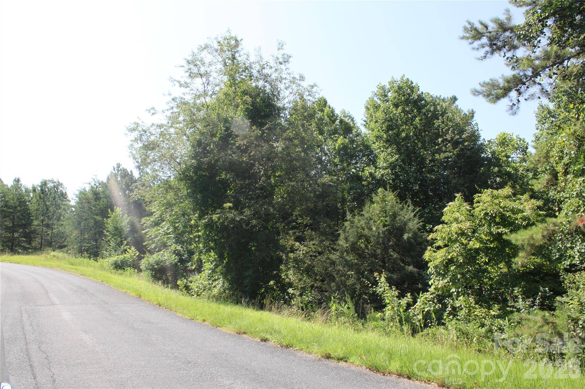 Lot #28 Lake Adger Pkwy, Mill Spring, NC 28756