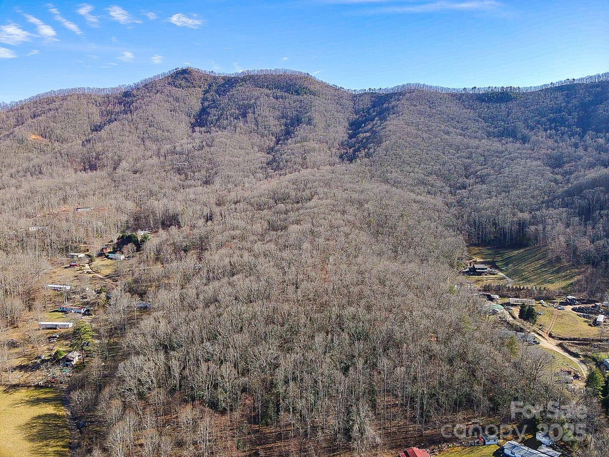 99999 Dark Cove RD, Leicester, NC 28748
