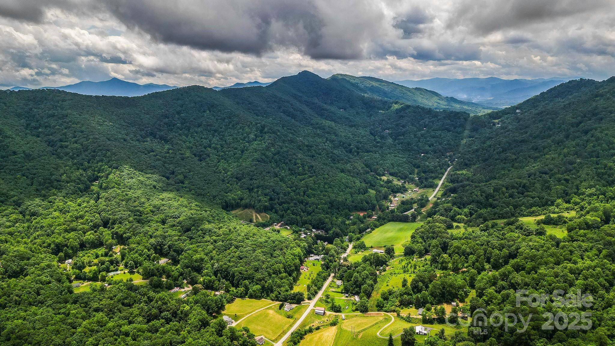 99999 Dark Cove RD, Leicester, NC 28748