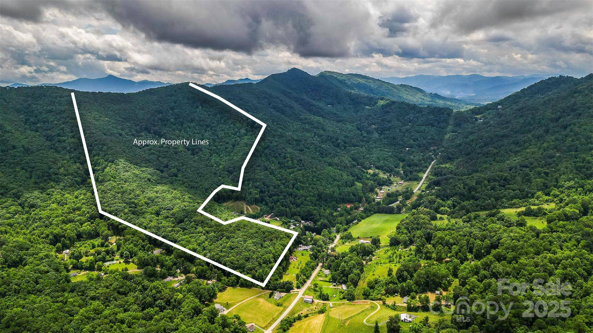 99999 Dark Cove RD, Leicester, NC 28748