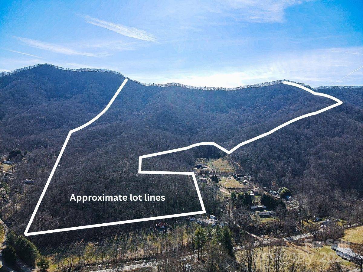 99999 Dark Cove RD, Leicester, NC 28748