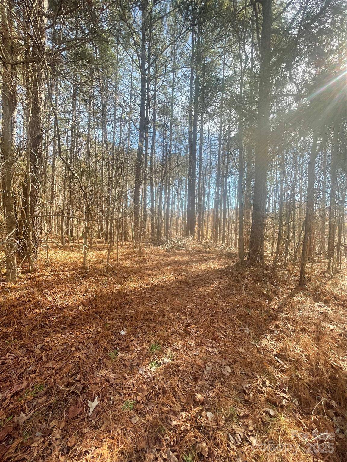 00 Rutan CT, Mooresville, NC 28117