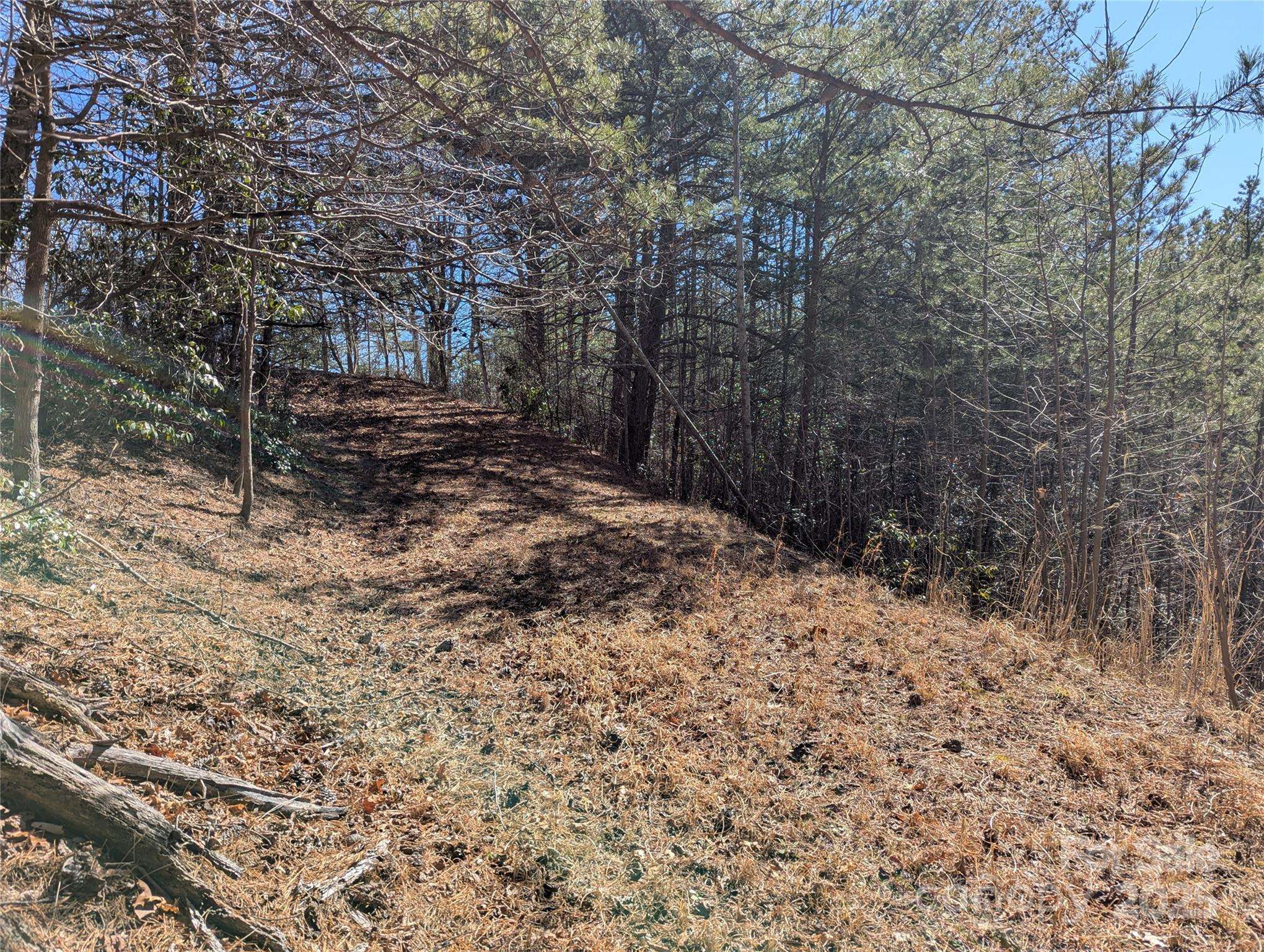 94 Trillium LN #C-2, Black Mountain, NC 28711