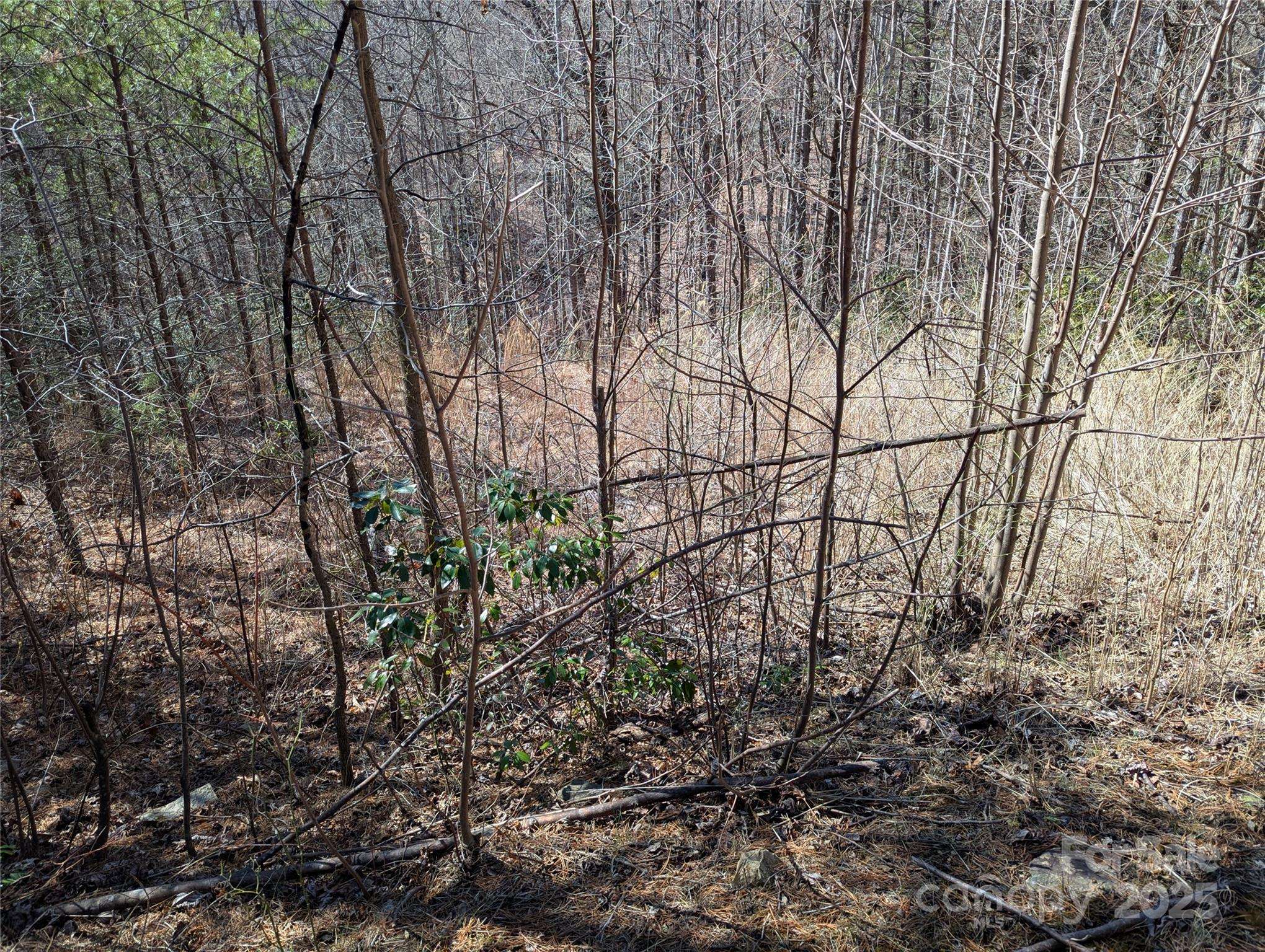 94 Trillium LN #C-2, Black Mountain, NC 28711