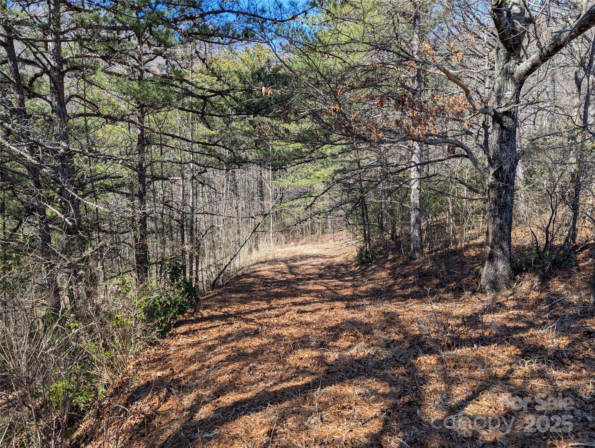 94 Trillium LN #C-2, Black Mountain, NC 28711