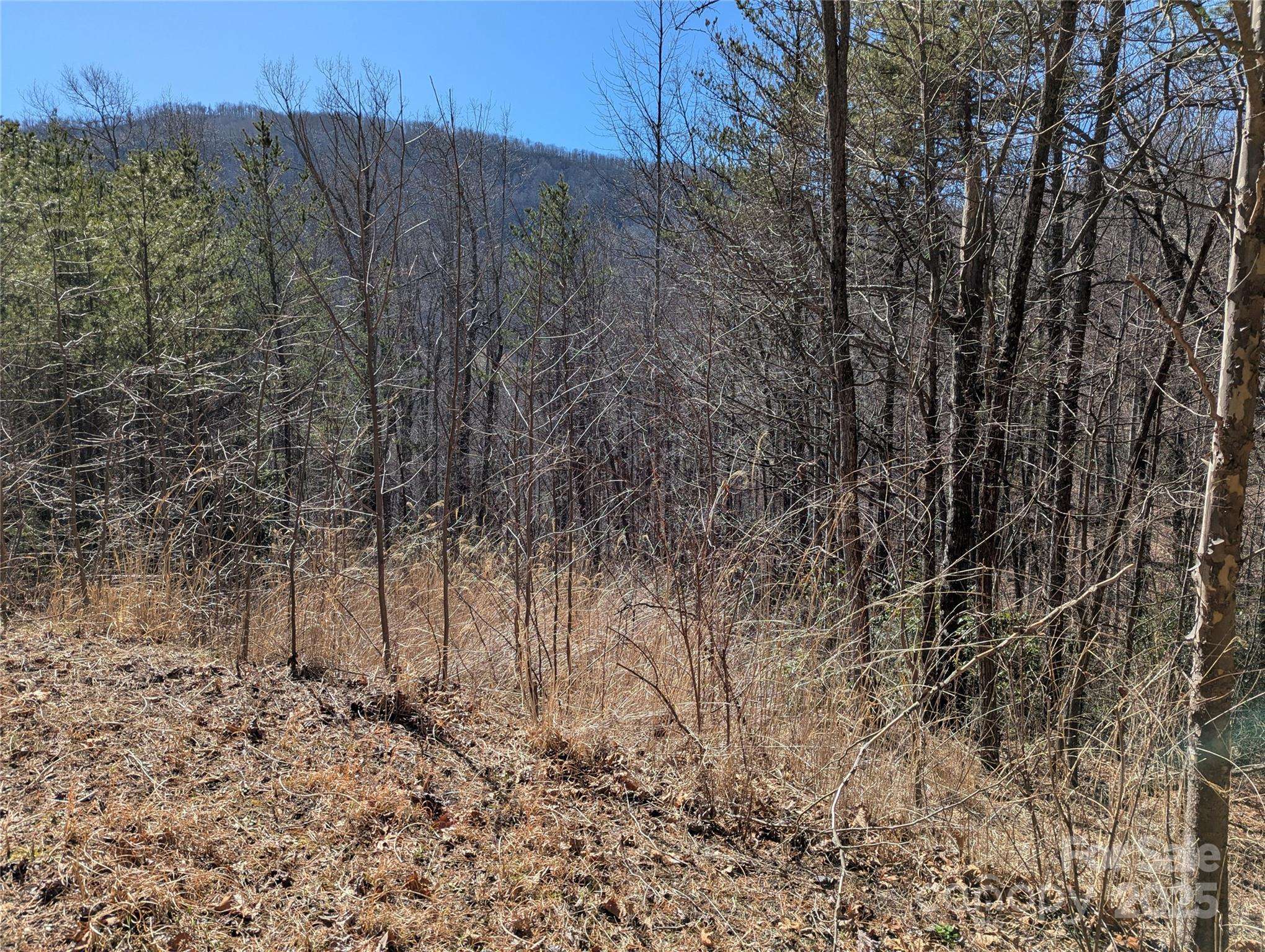 94 Trillium LN #C-2, Black Mountain, NC 28711