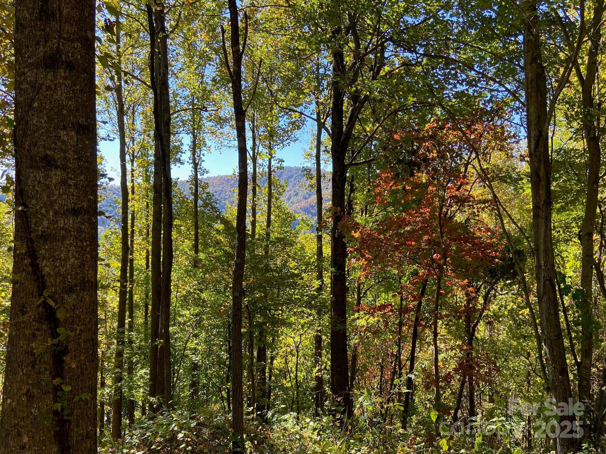 501 Warbler LN #T-62, Black Mountain, NC 28711