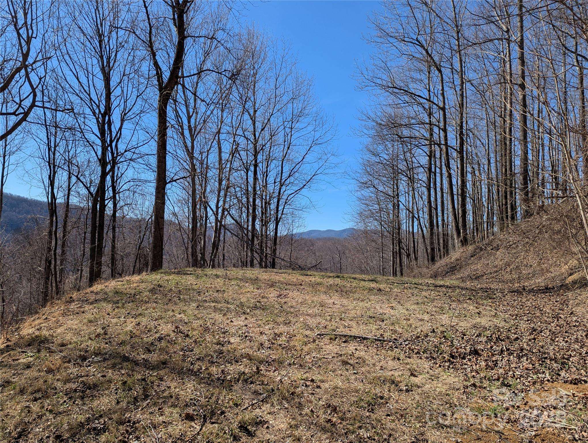 501 Warbler LN #T-62, Black Mountain, NC 28711