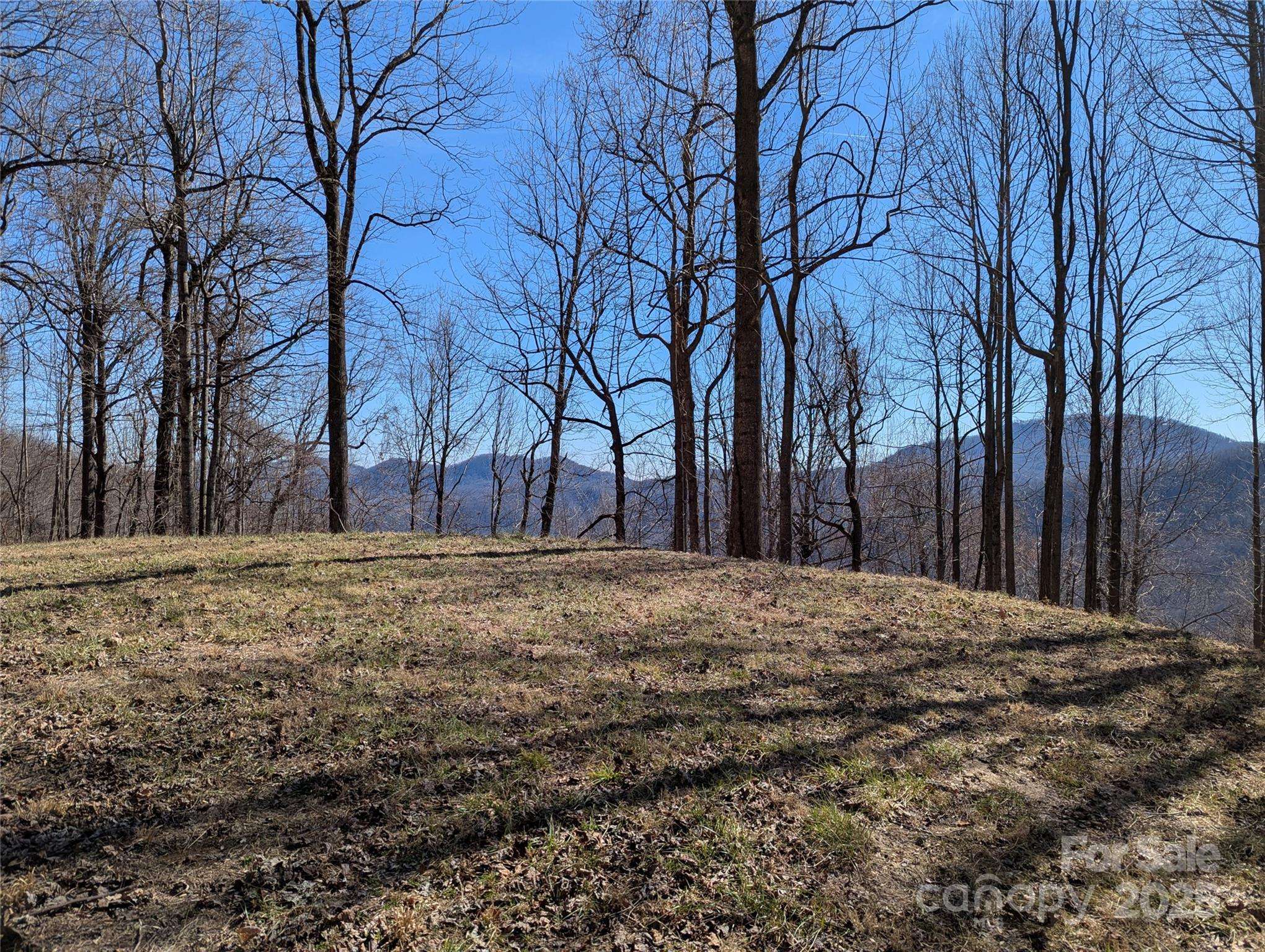 501 Warbler LN #T-62, Black Mountain, NC 28711