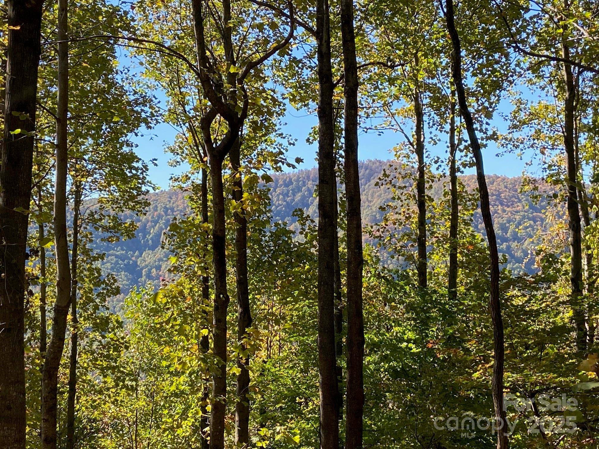 501 Warbler LN #T-62, Black Mountain, NC 28711
