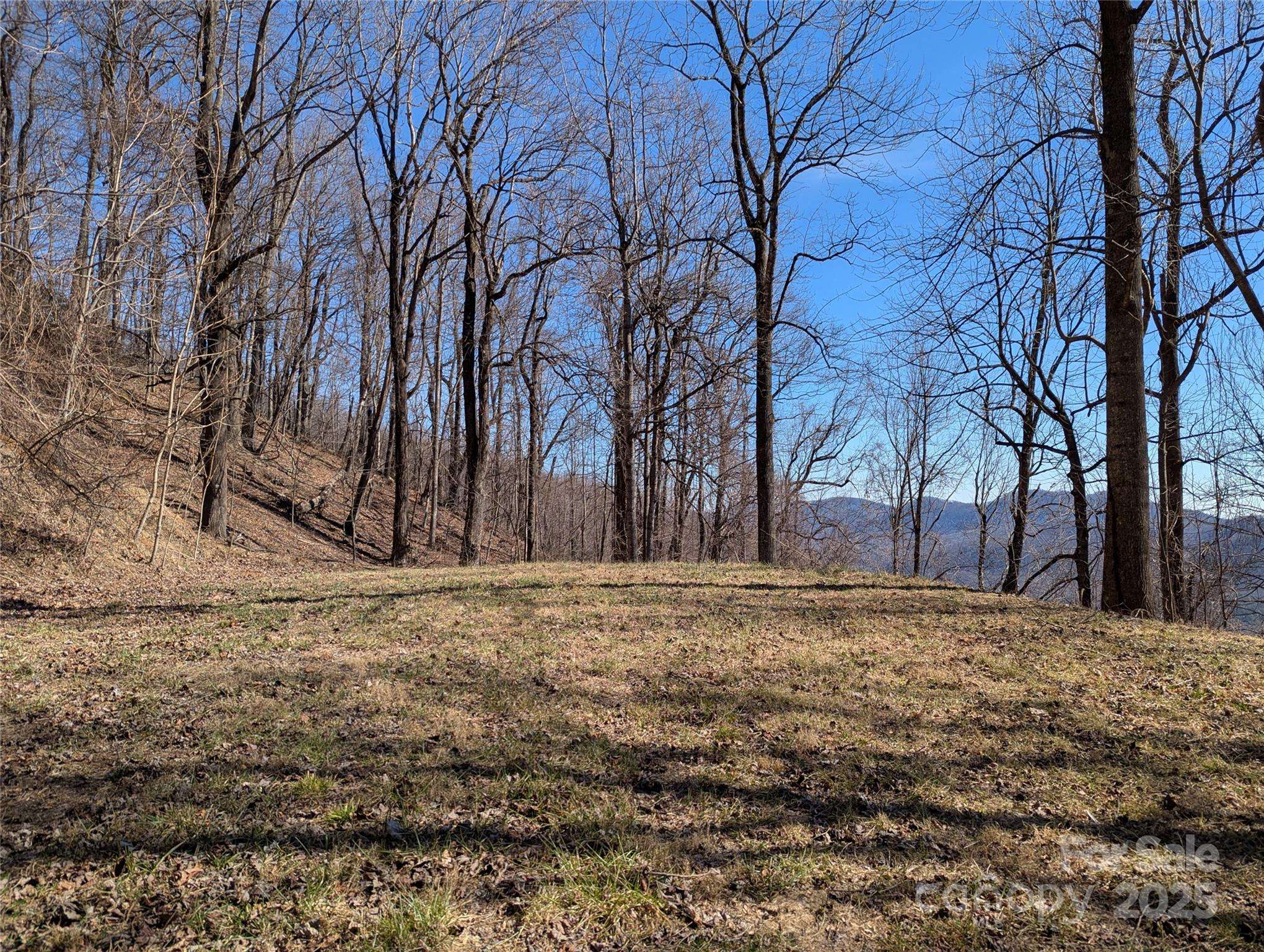 501 Warbler LN #T-62, Black Mountain, NC 28711