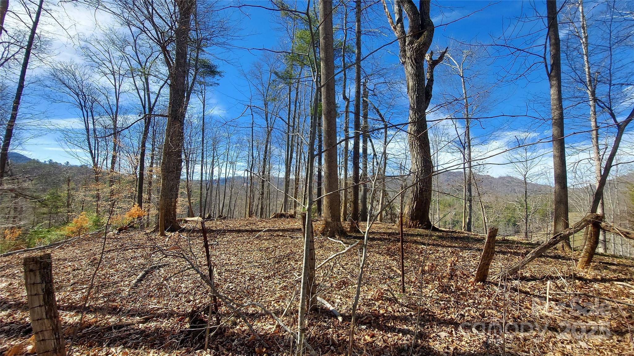 103 Barn RD, Burnsville, NC 28714