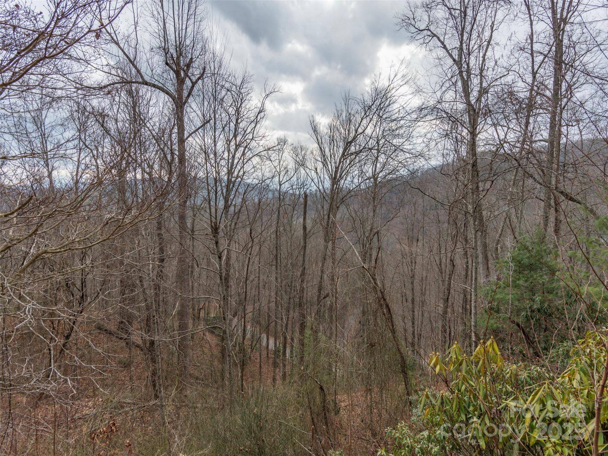 00 Cherry Berry DR, Waynesville, NC 28785