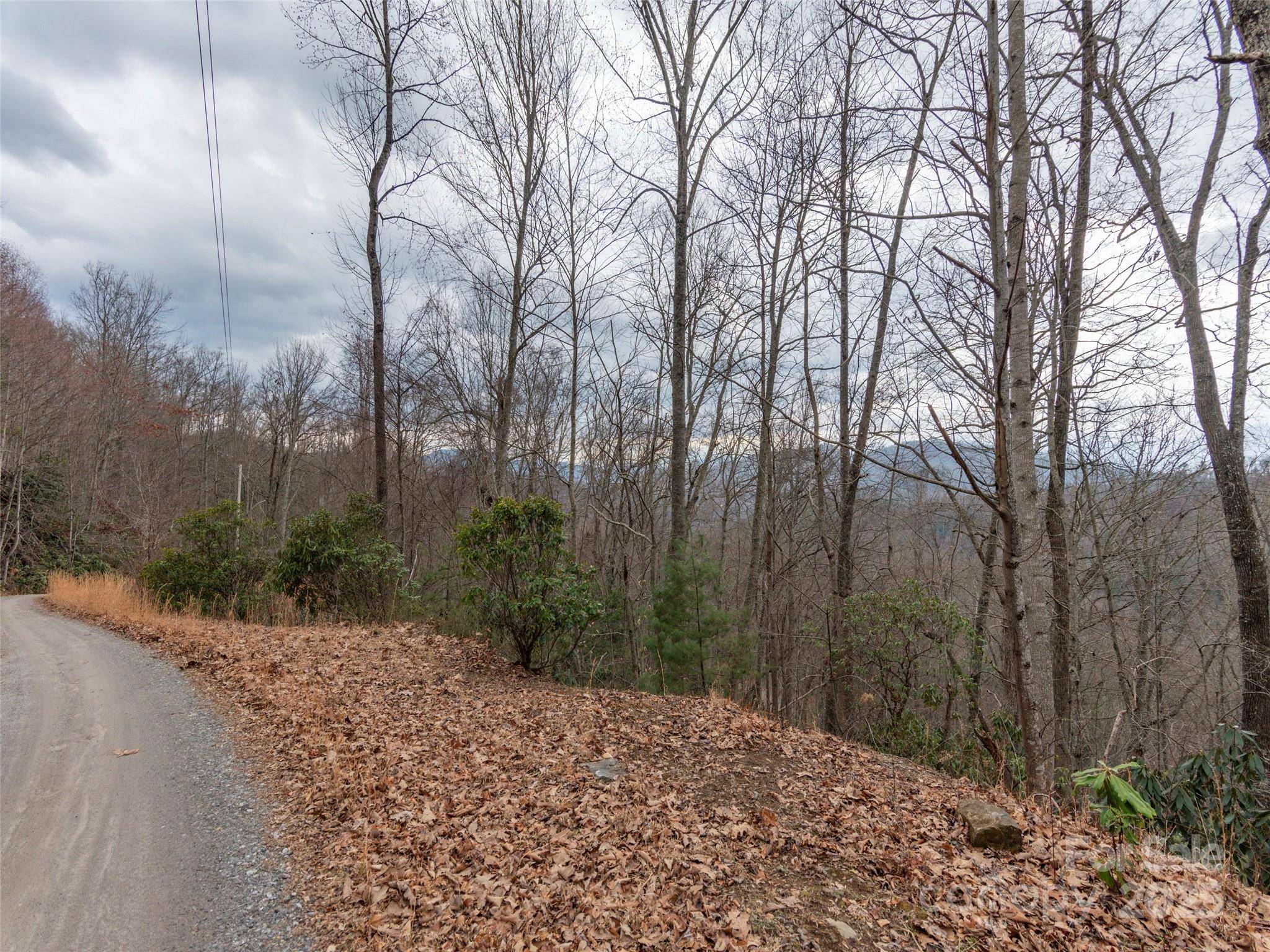 00 Cherry Berry DR, Waynesville, NC 28785