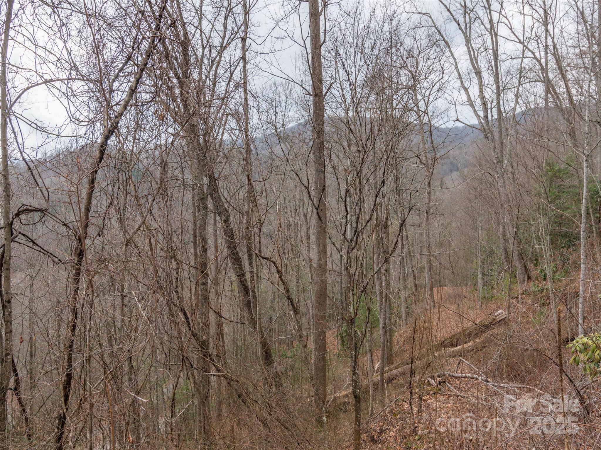 00 Cherry Berry DR, Waynesville, NC 28785