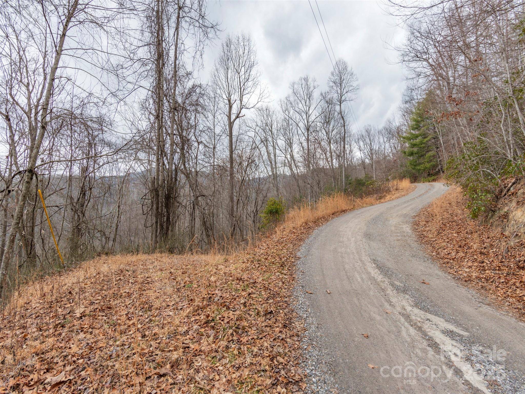 00 Cherry Berry DR, Waynesville, NC 28785