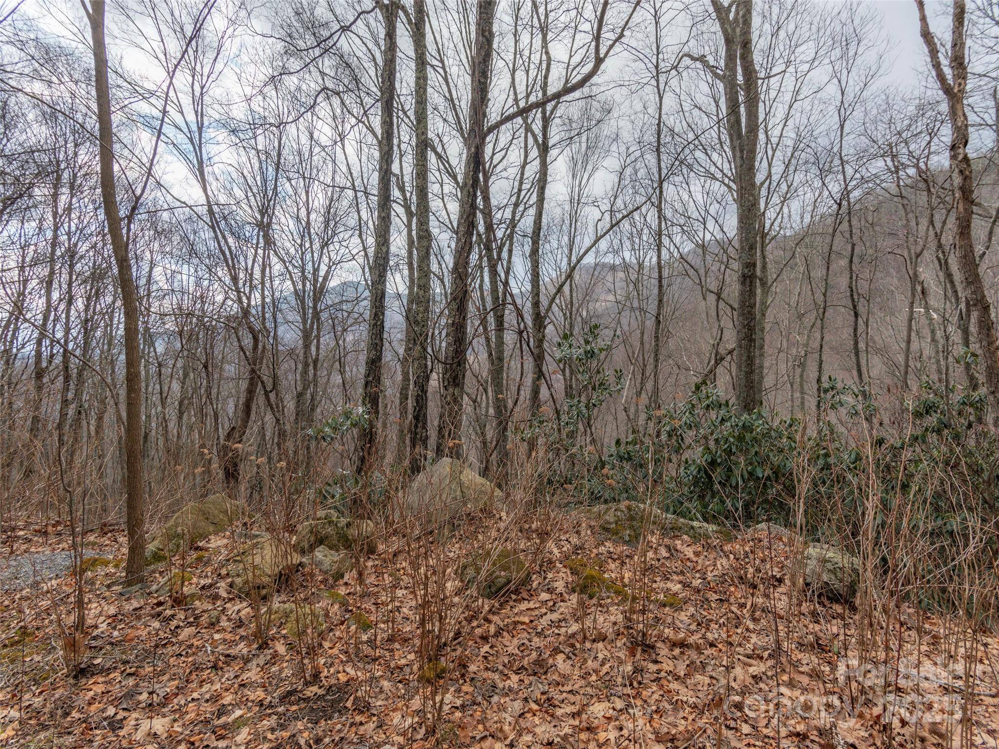 00 Bald Creek RD, Clyde, NC 28721