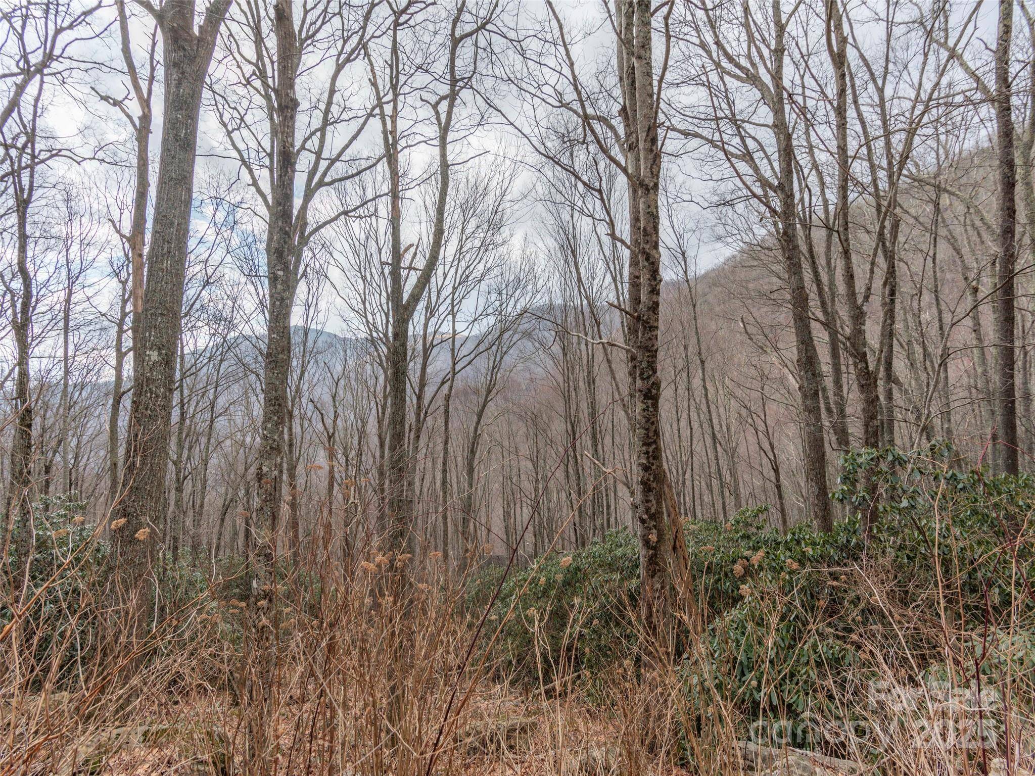 00 Bald Creek RD, Clyde, NC 28721
