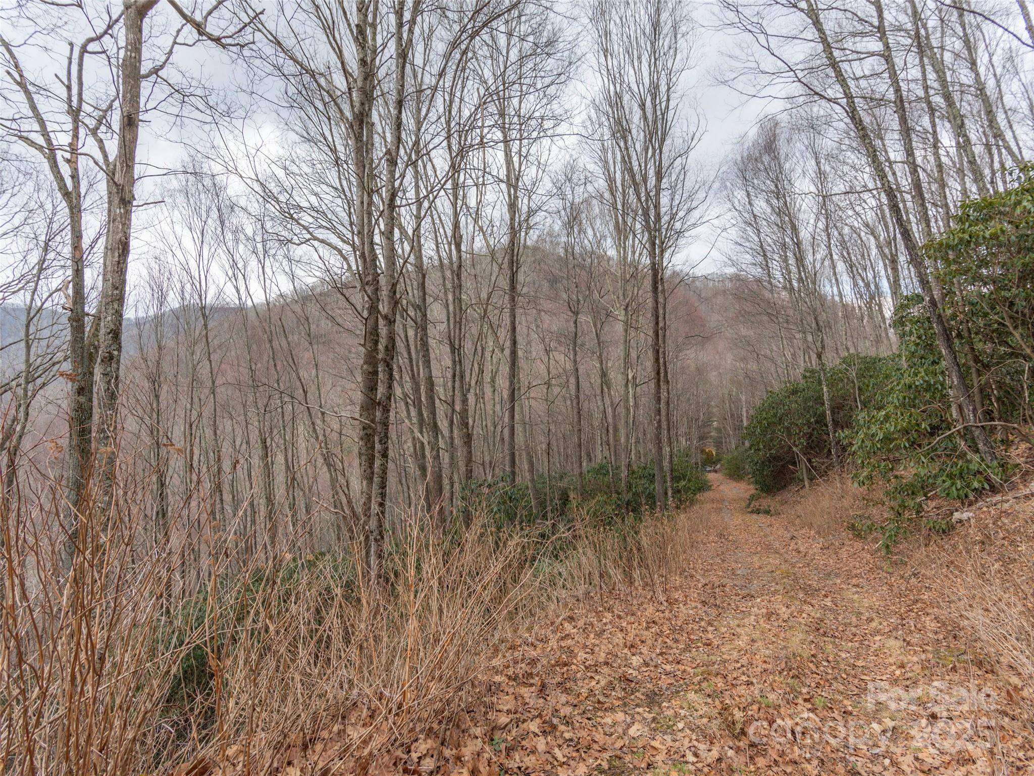 00 Bald Creek RD, Clyde, NC 28721