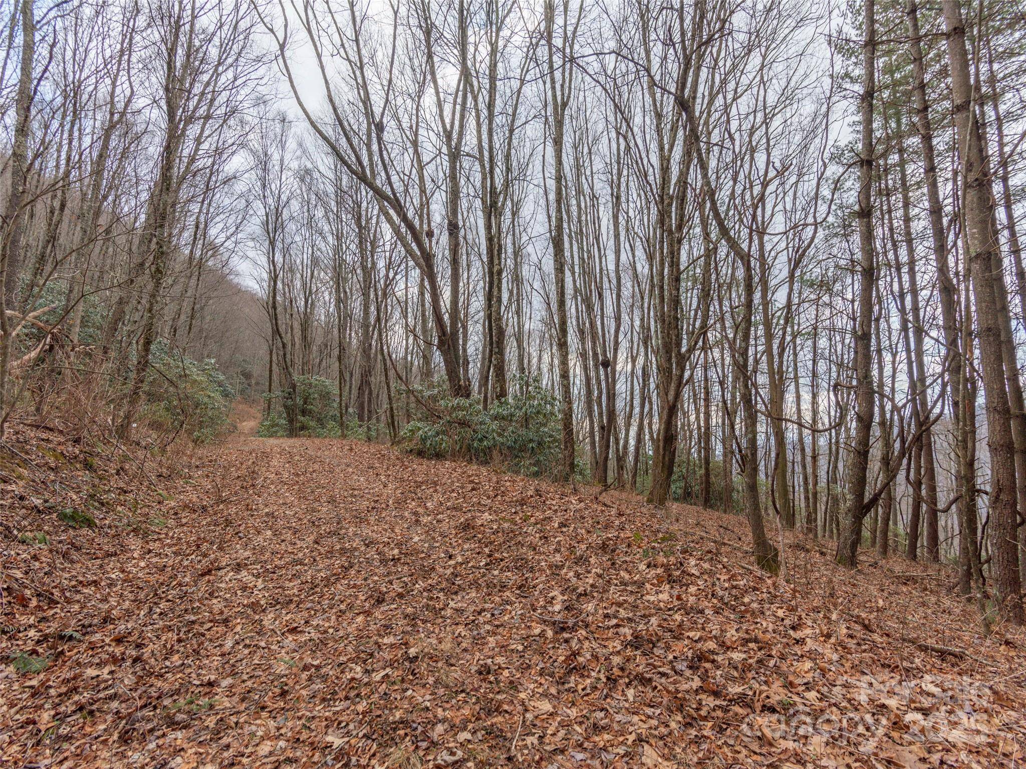 00 Bald Creek RD, Clyde, NC 28721