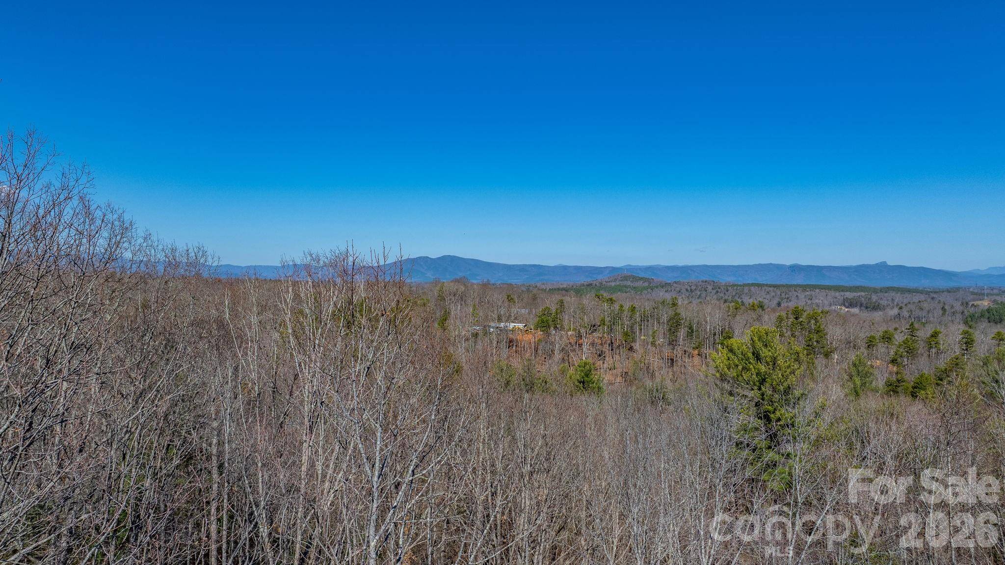 TBD Dirksen AVE #60, Nebo, NC 28761