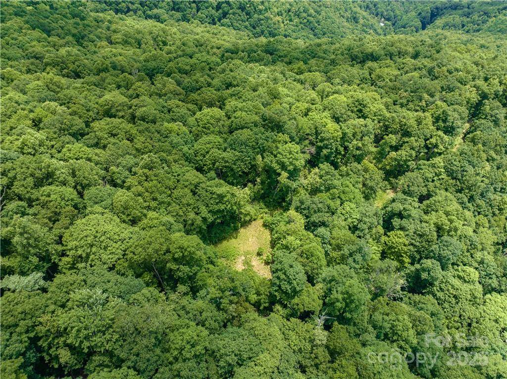 3168 Parris Branch RD #16 D,E,F, Sylva, NC 28779