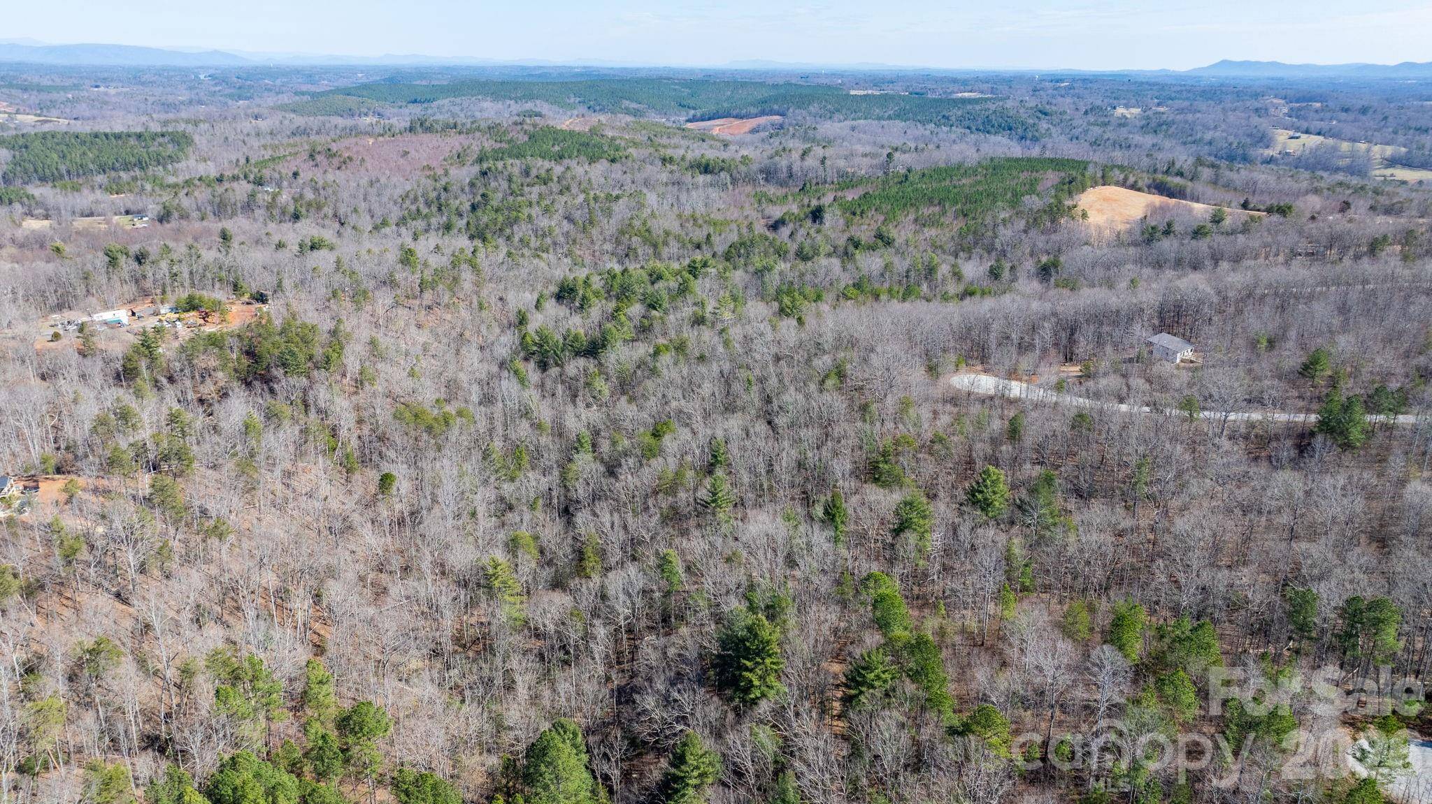 TBD Dirksen AVE #61, Nebo, NC 28761