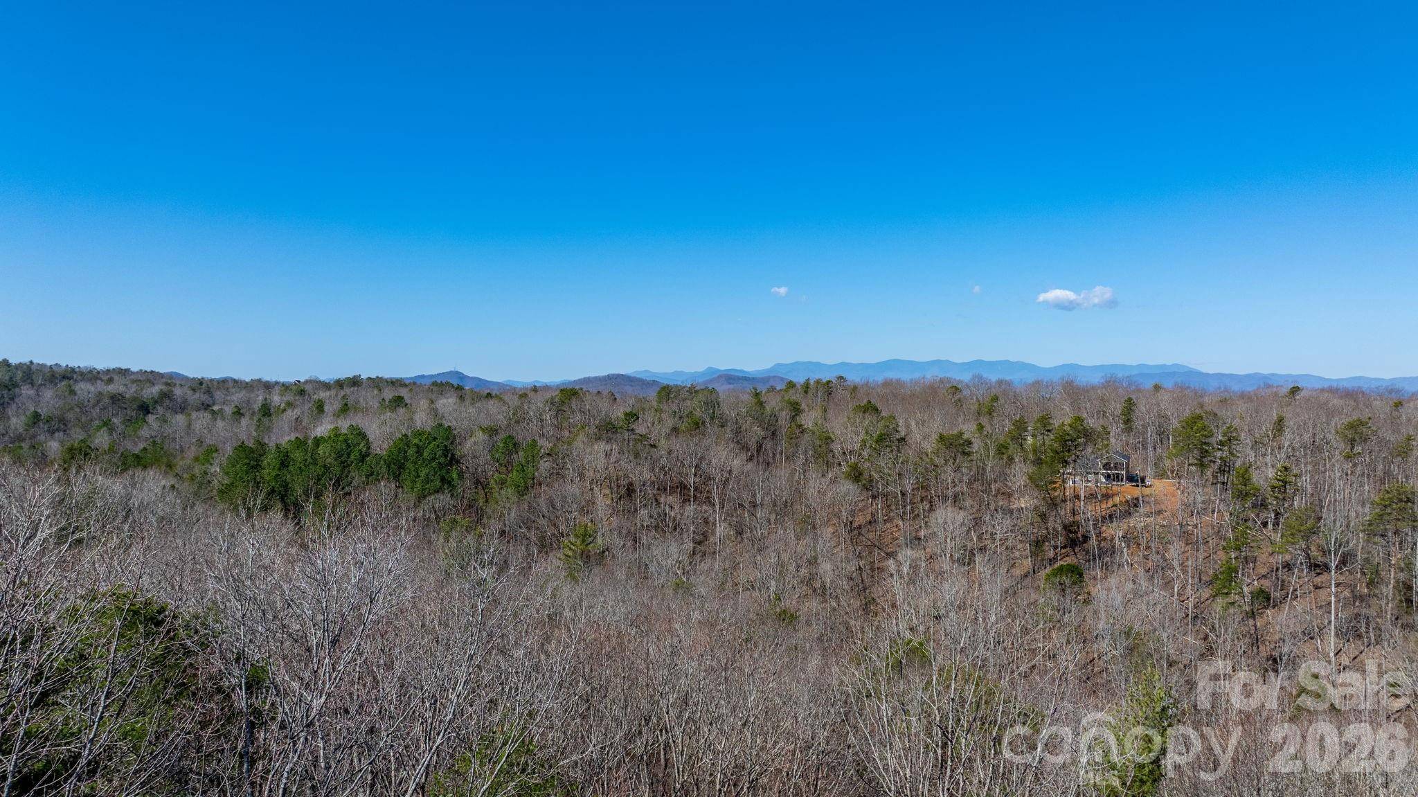 TBD Dirksen AVE #61, Nebo, NC 28761