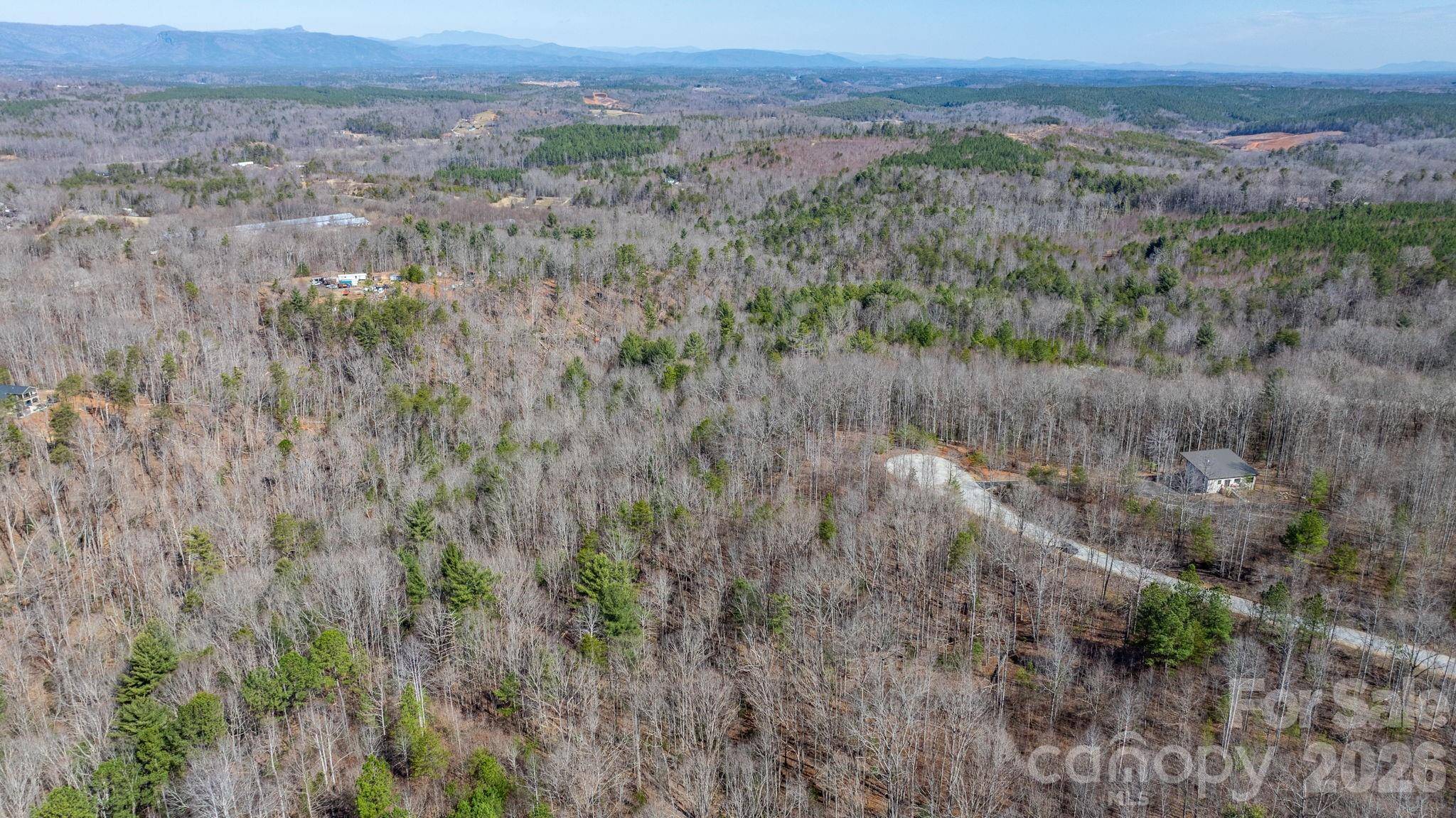 TBD Dirksen AVE #61, Nebo, NC 28761