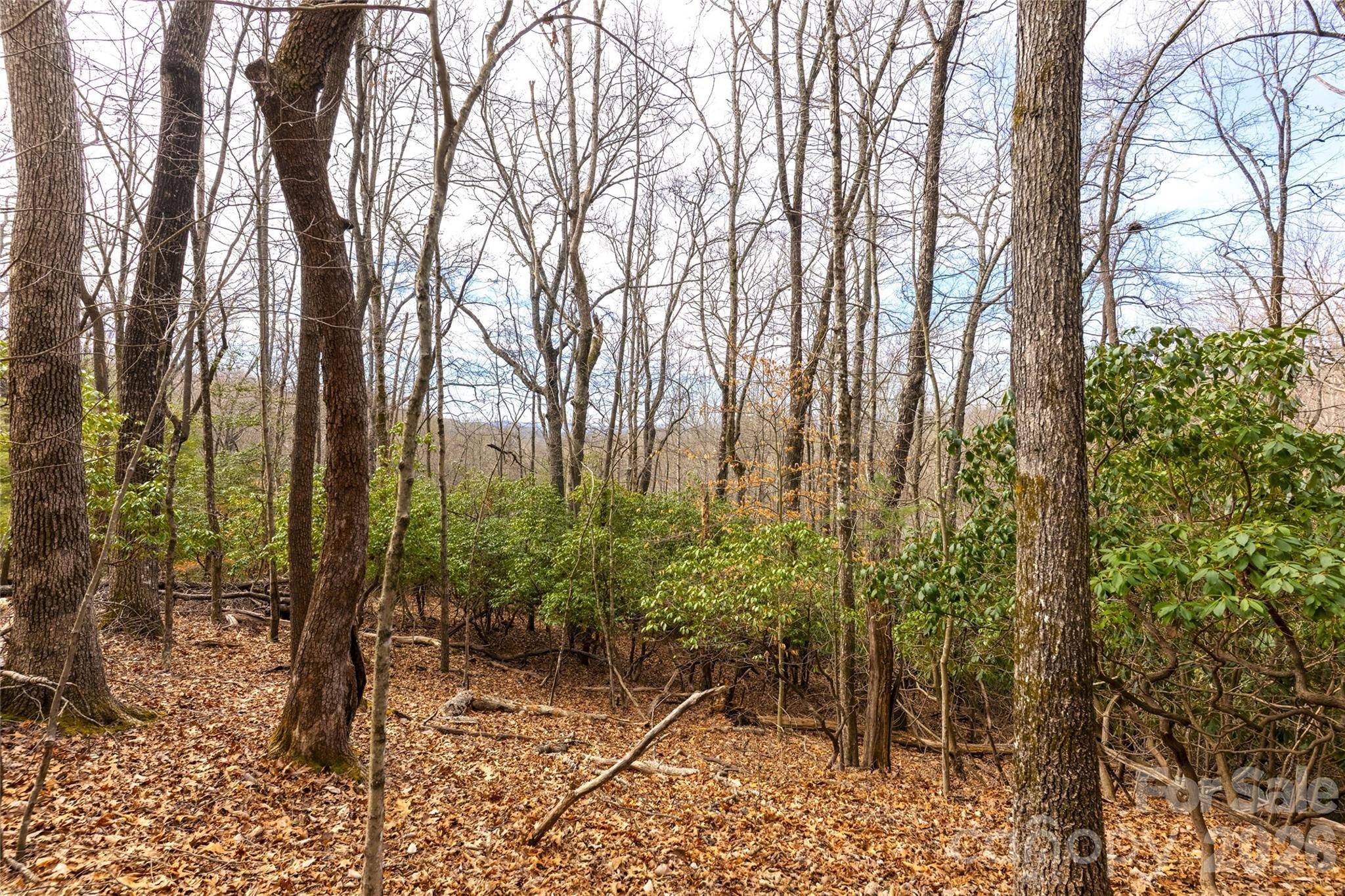 0 Aberdeen LN, Pisgah Forest, NC 28768