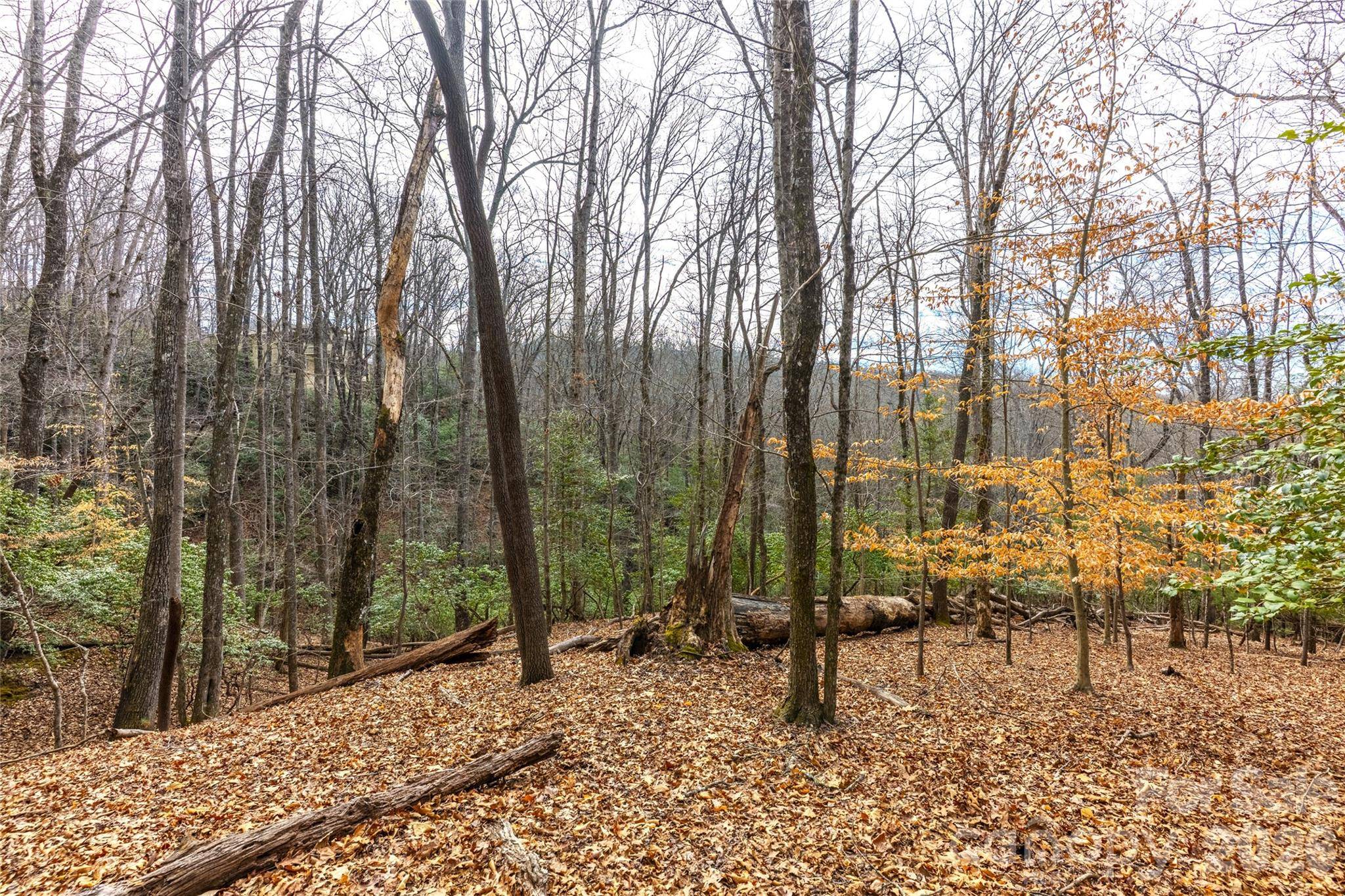0 Aberdeen LN, Pisgah Forest, NC 28768
