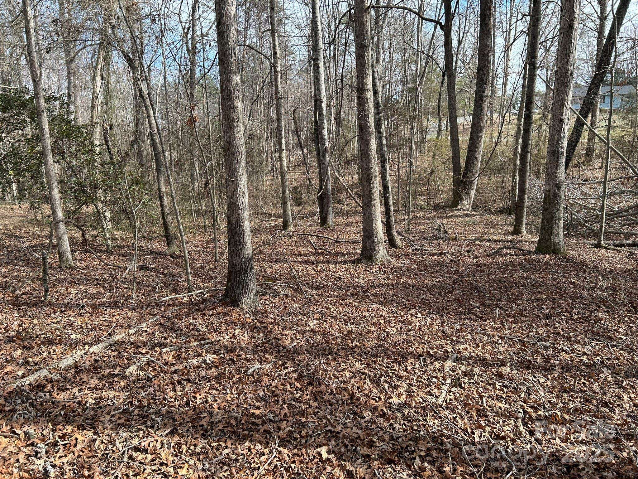60 & 86 W Melissa DR, Forest City, NC 28043