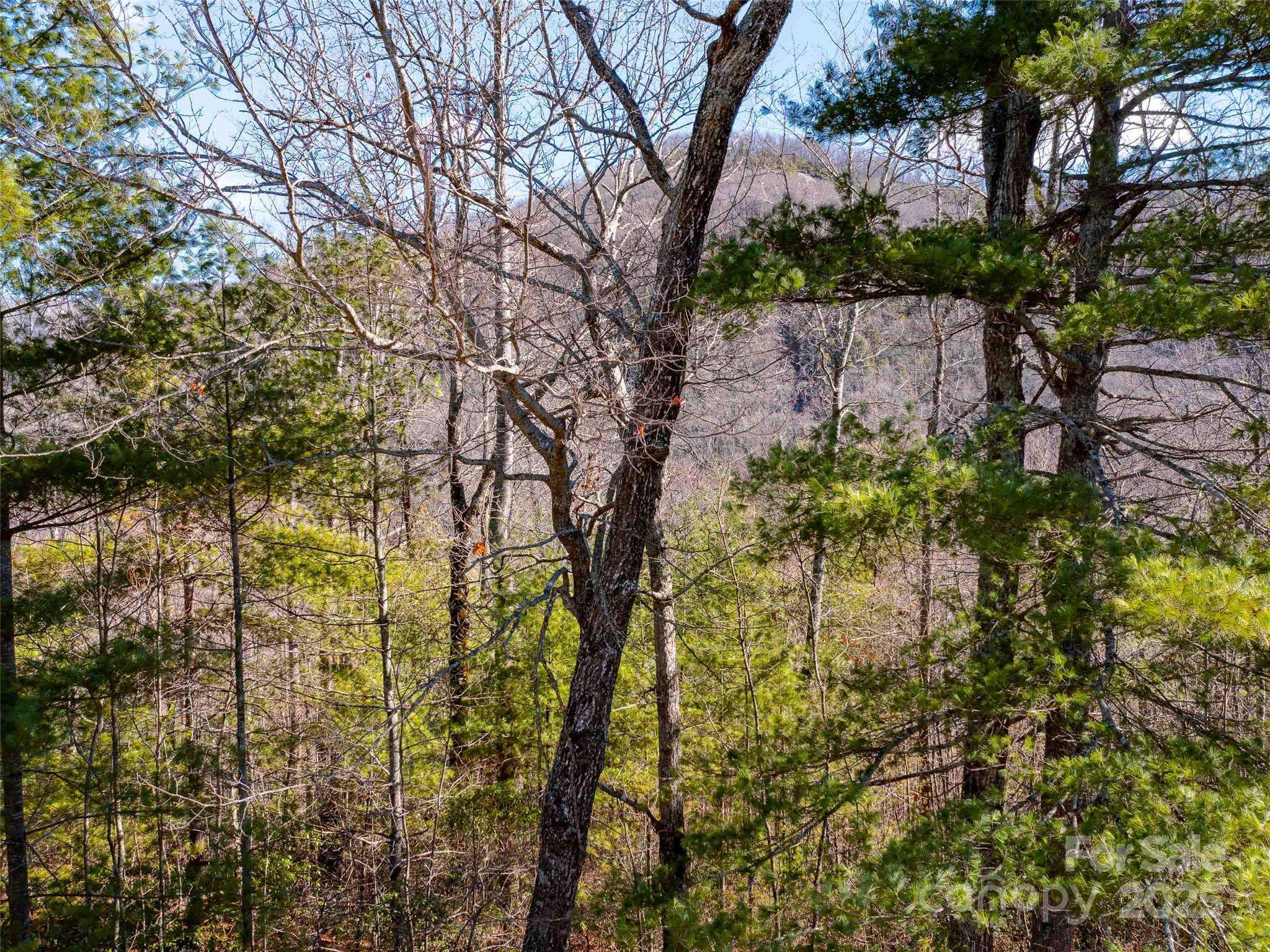 794 Silverstone DR, Hendersonville, NC 28792
