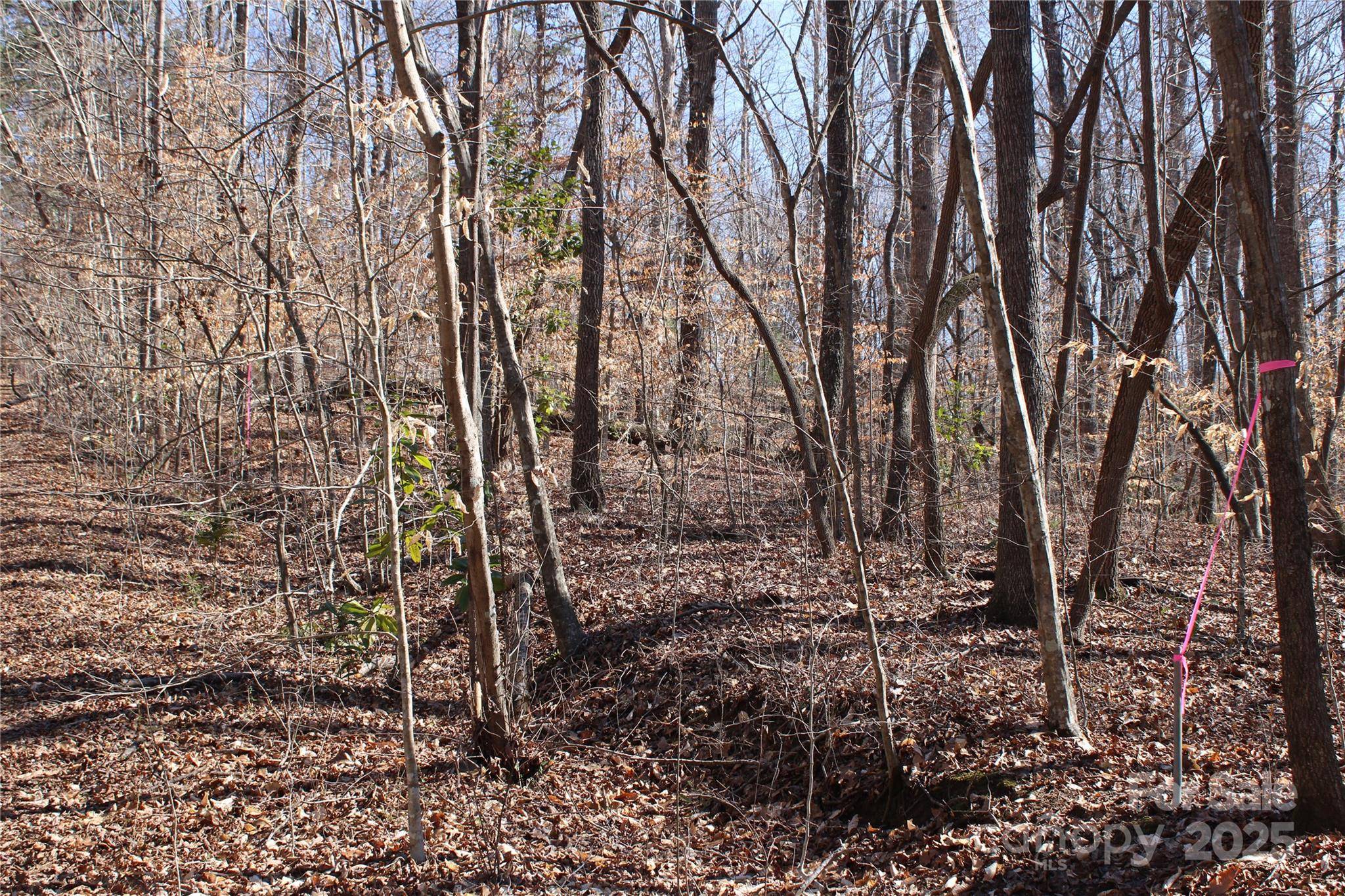0 Rutherford ST, Spindale, NC 28160