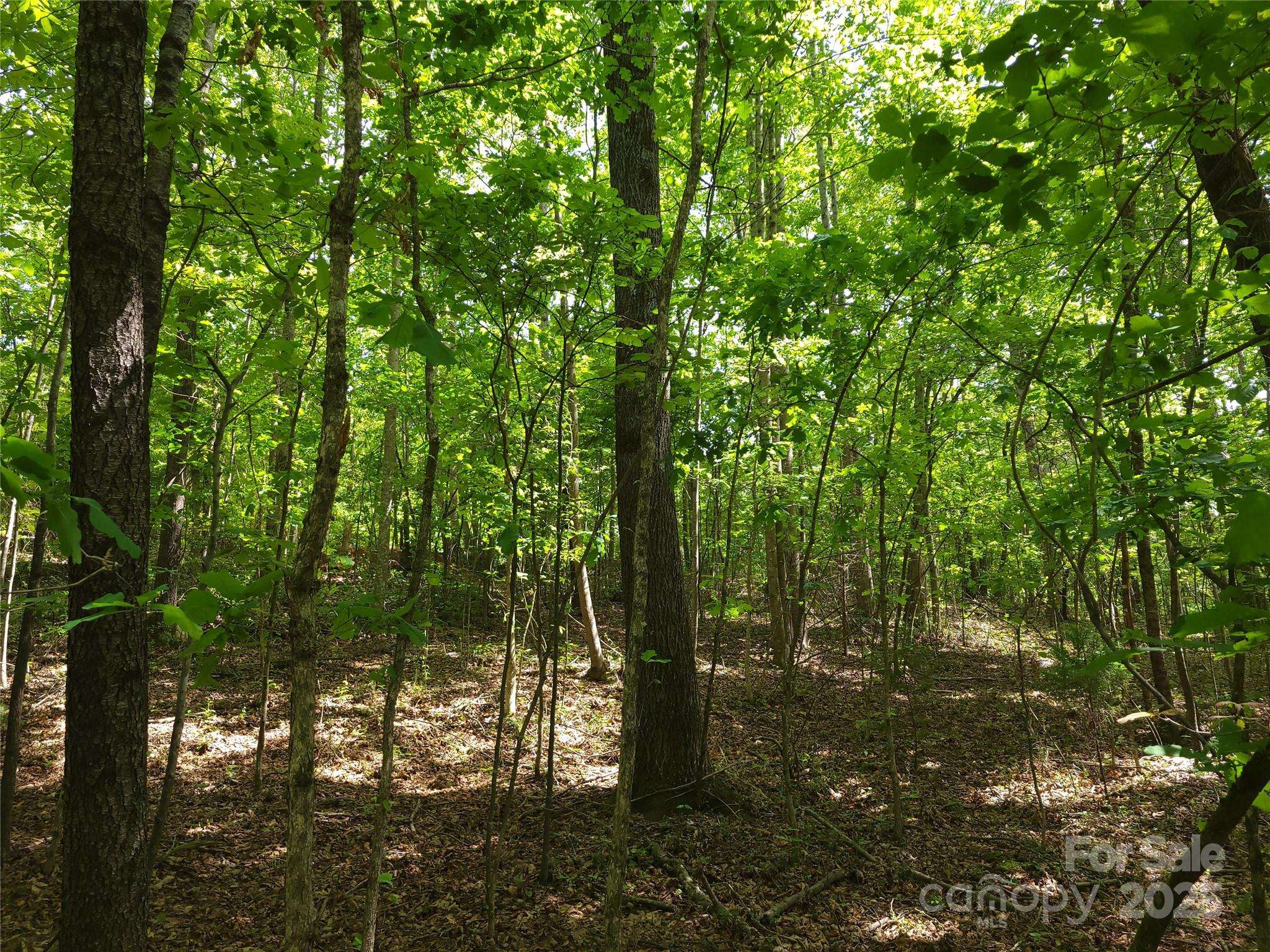 000 Skylark LN #6, Tryon, NC 28782