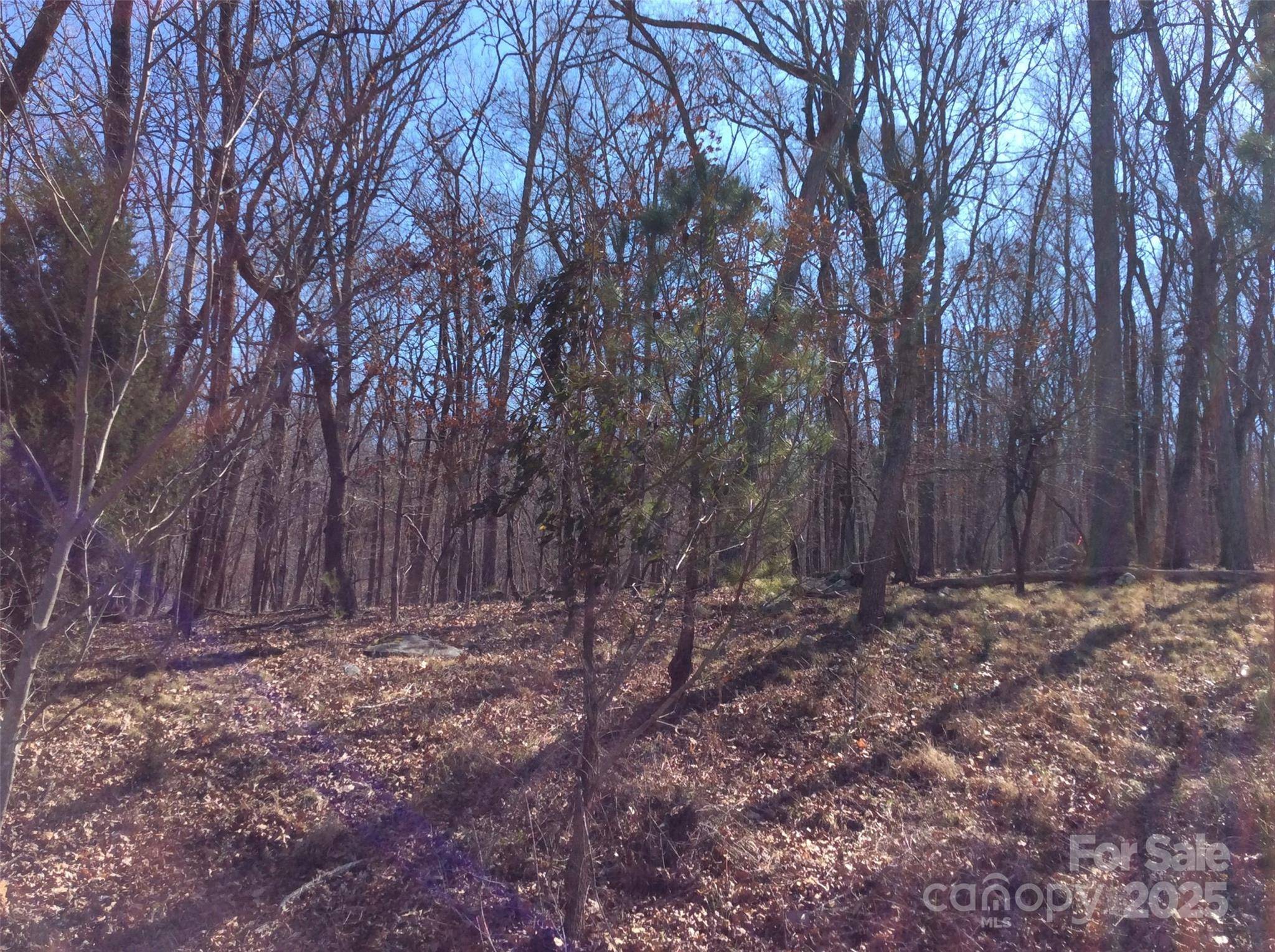 1355 Rocky Cove LN, Denton, NC 27239
