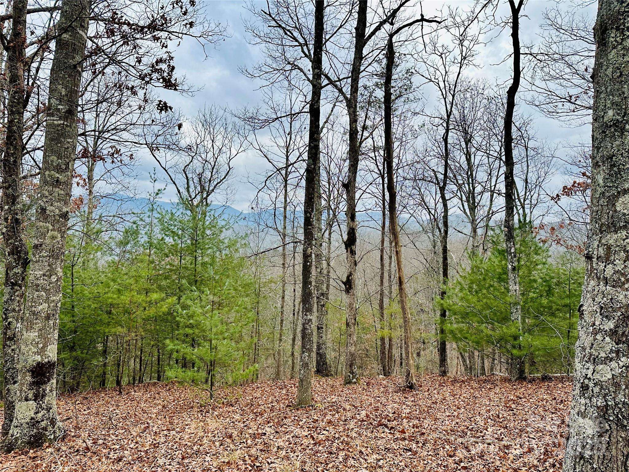 275 Raccoon RUN #24, Marshall, NC 28753